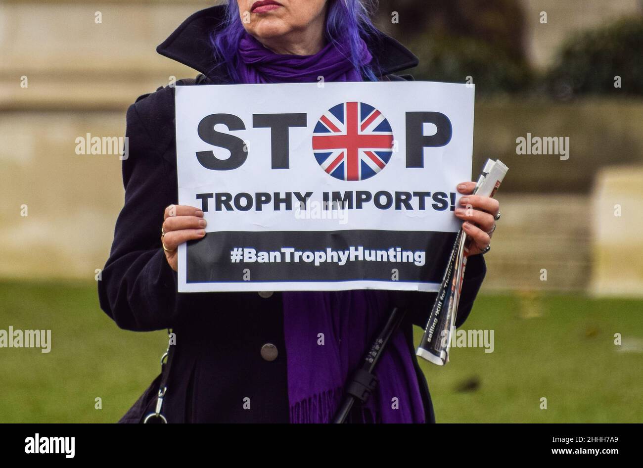 London, UK 19th January 2022. A protester holds a 'Stop Trophy Imports' placard. Activists gathered at Parliament Square calling for a ban on trophy hunting and trophy hunting imports. Stock Photo