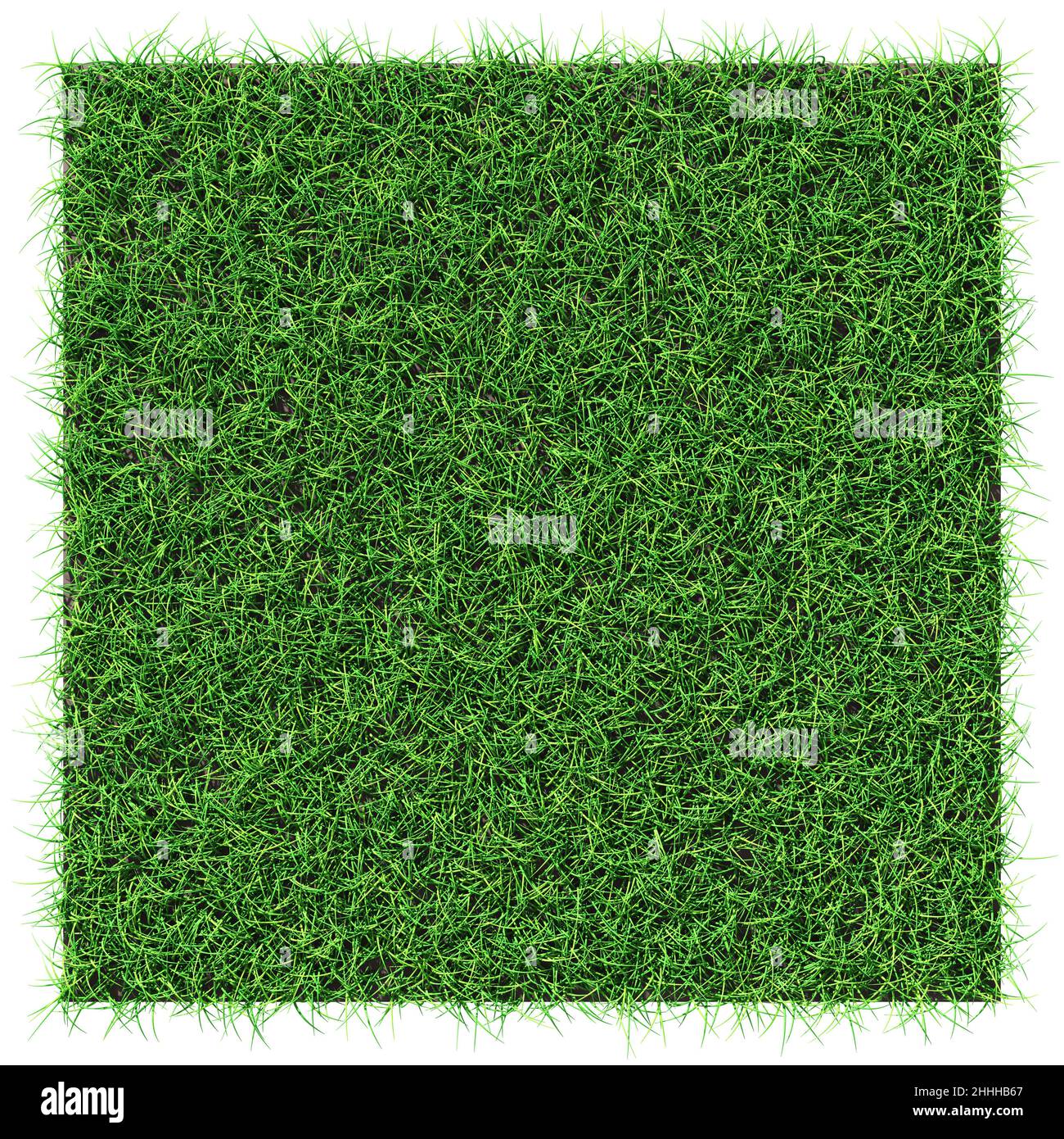 Grass shape design element isolated 3d rendering Stock Photo Alamy