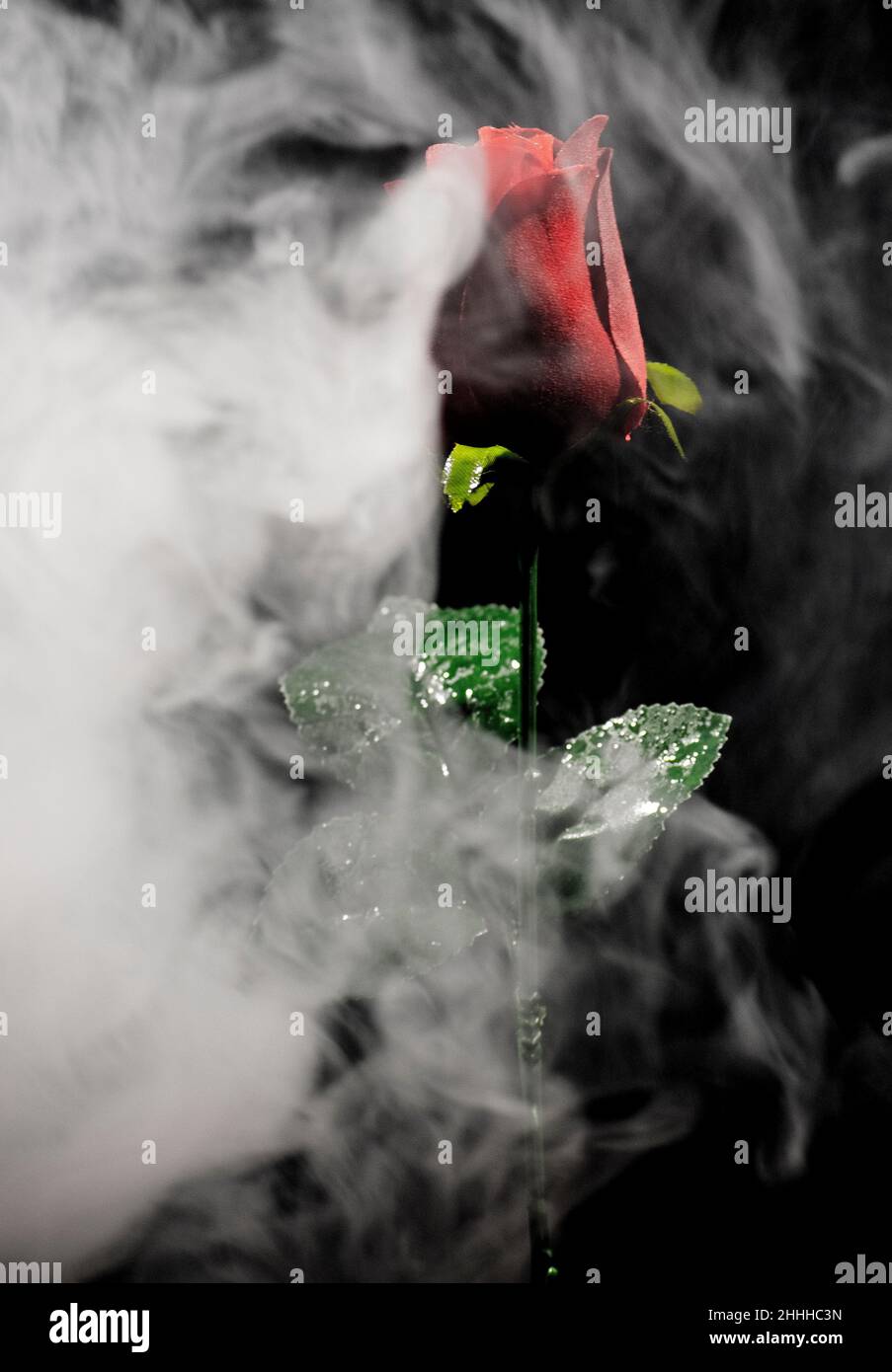 This photo created by using actual smoke and a red rose, giving the image a mystical appearance, ideal for a poster Stock Photo
