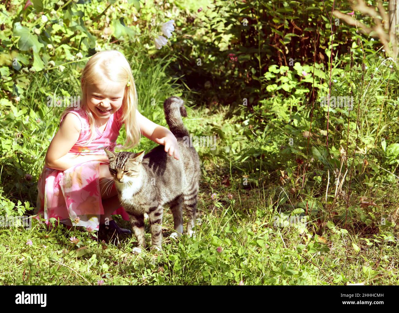 Adorable blonde little girl playing with cat in the summer park Stock ...
