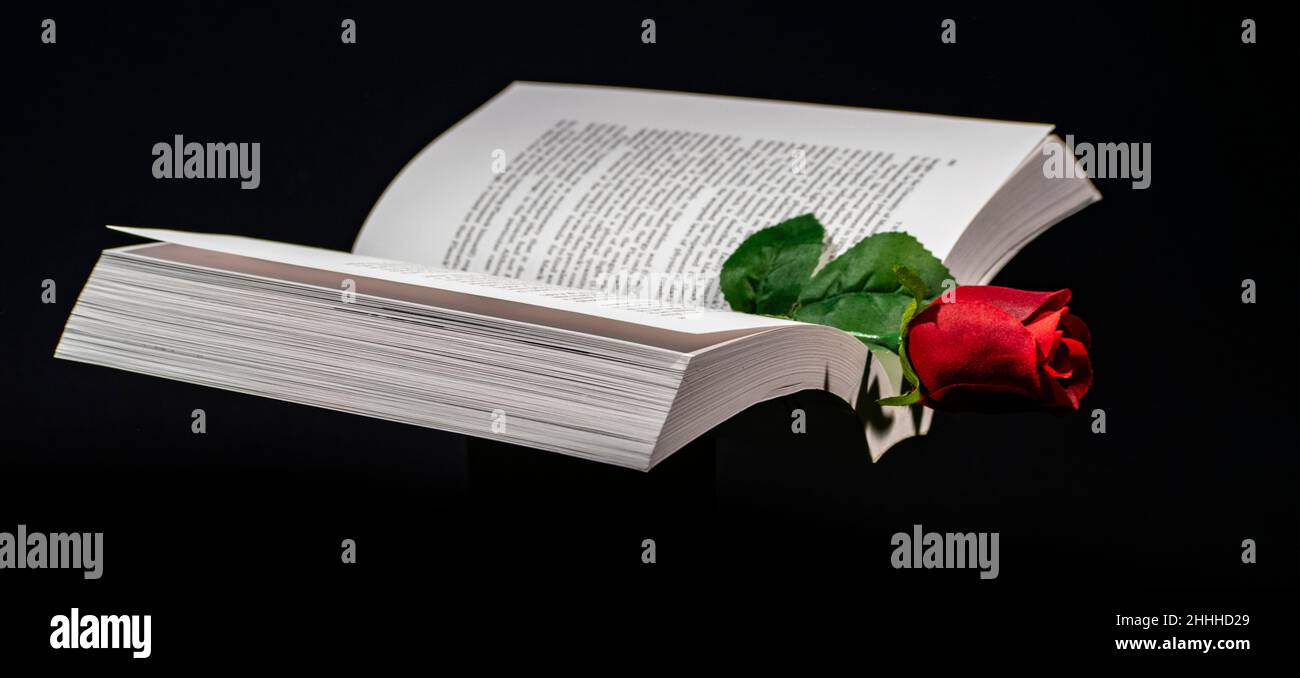 A red rose has been used as a bookmark to remind a chapter in our lives where we experienced love, black background Stock Photo
