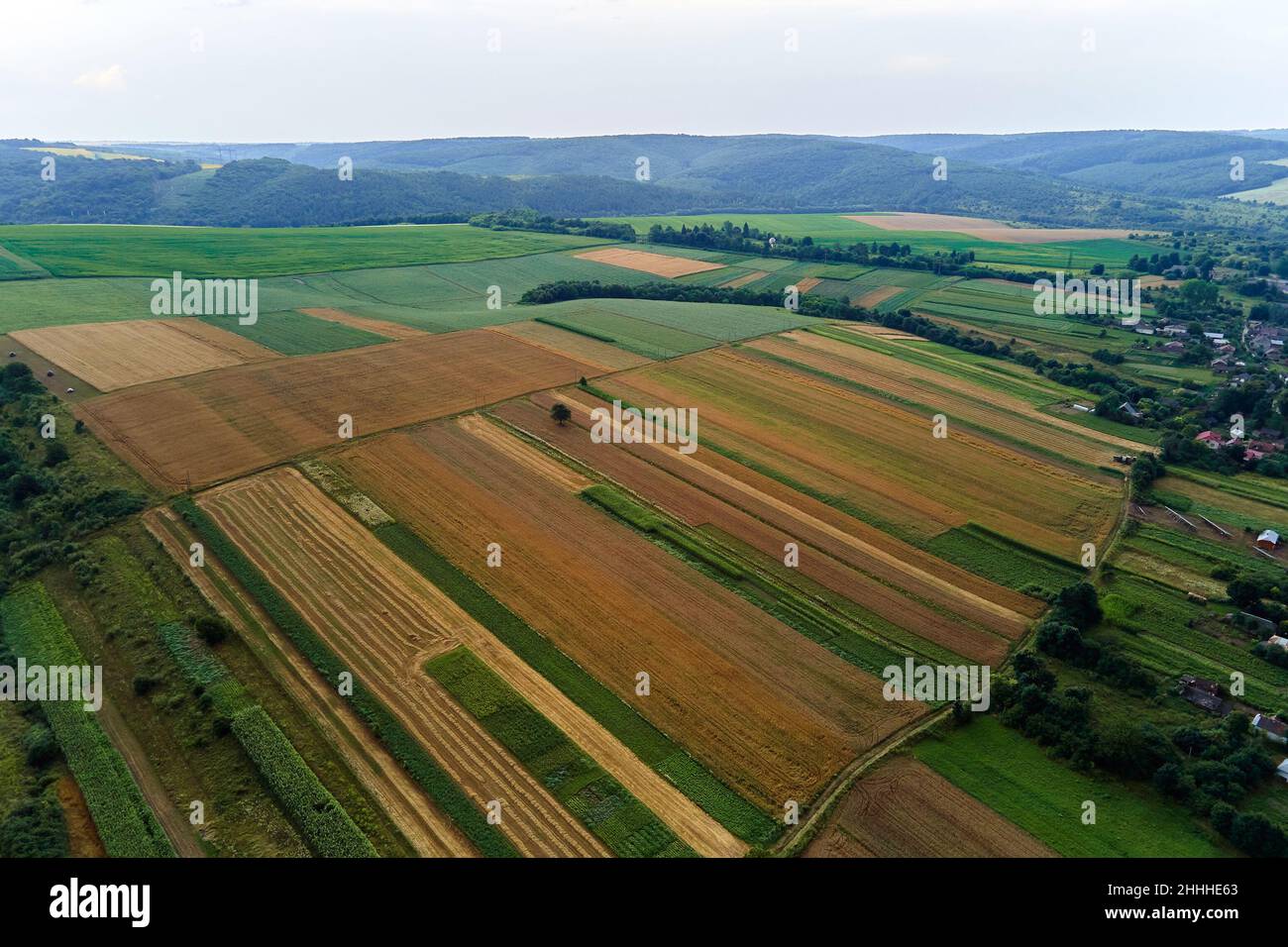Aerial landscape view of green cultivated agricultural fields with ...