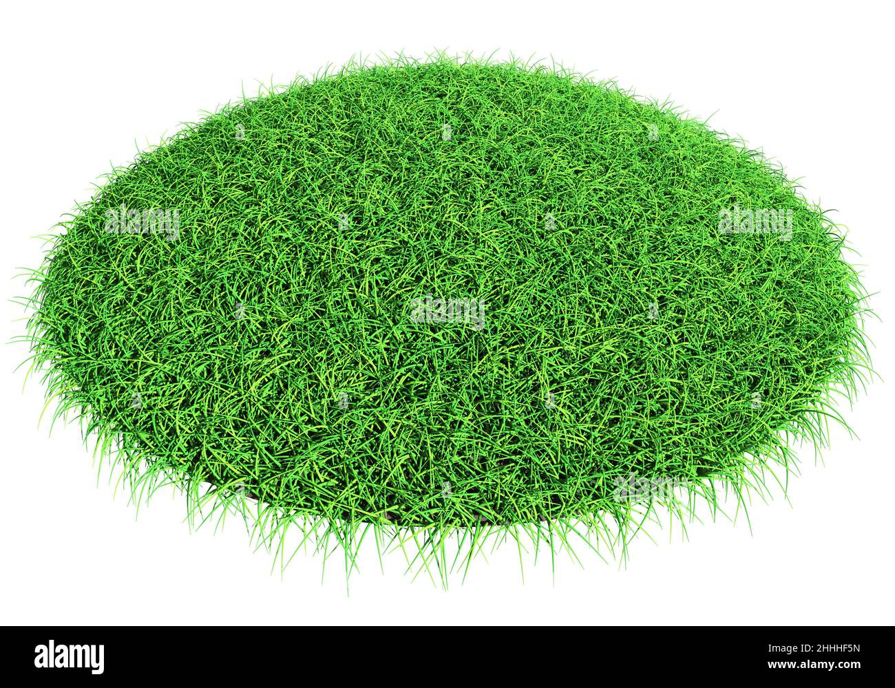 Grass shape design element isolated 3d rendering Stock Photo Alamy