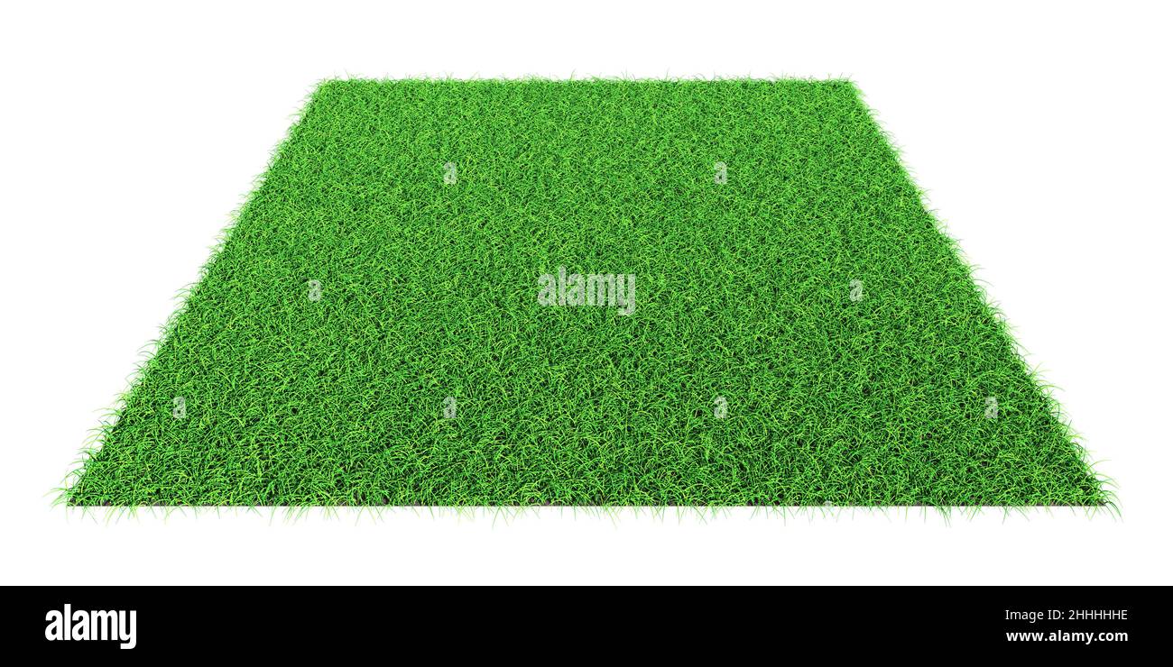 Grass shape design element isolated 3d rendering Stock Photo Alamy