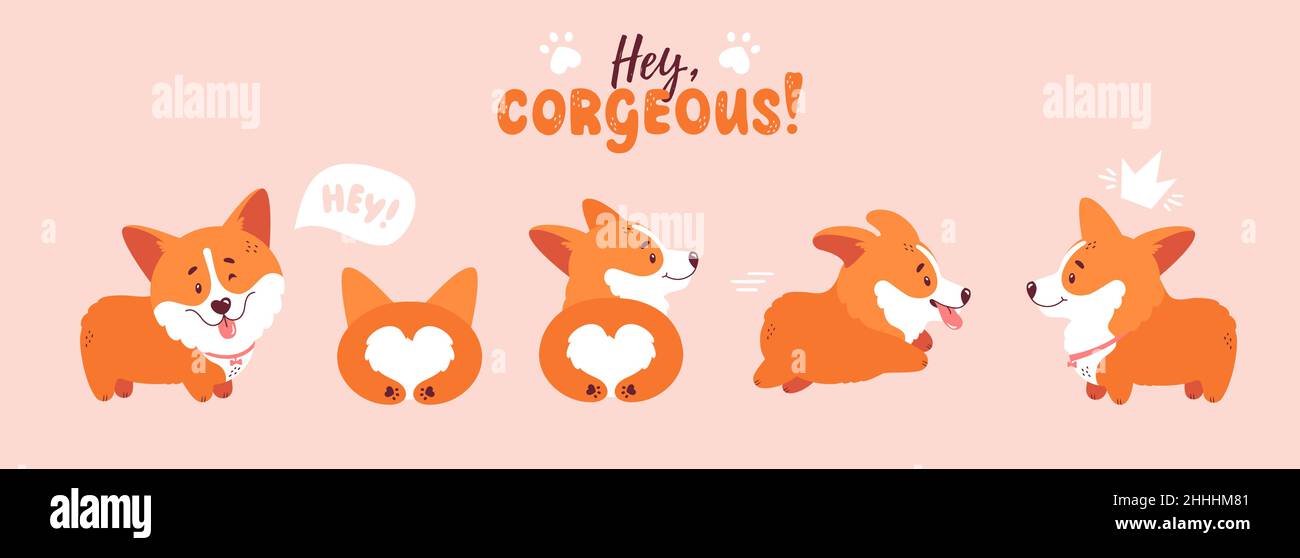 Cute welsh corgi puppy set. Different poses - dog is standing, running, lying. Little corgis isolated characters. Front, back and side view. Vector Stock Vector