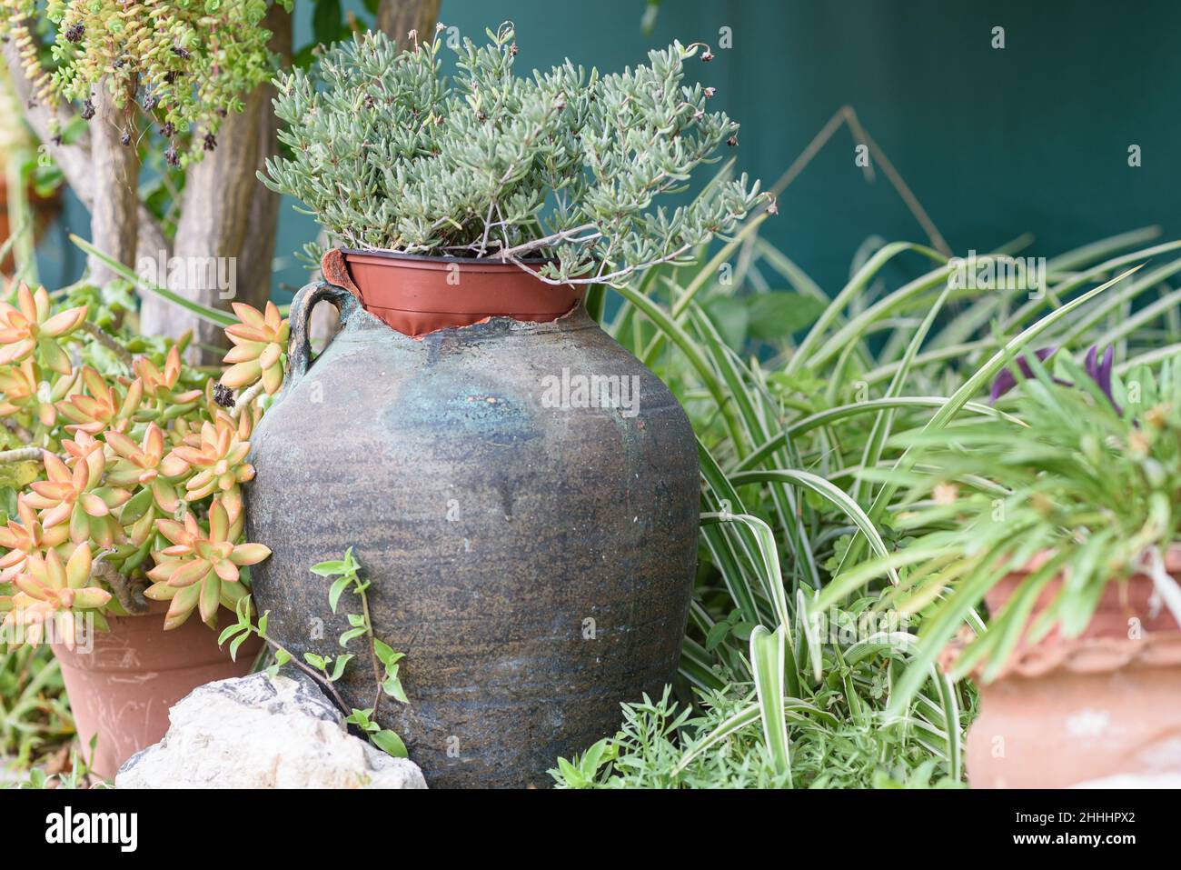 Reused planter ideas. Old vase turn into garden flower pots. Recycled garden design, diy and low-waste lifestyle. Stock Photo