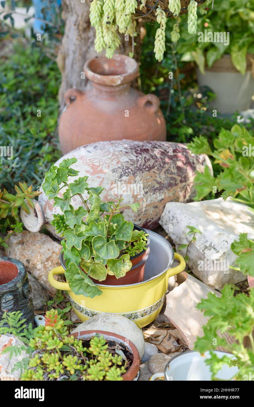 Reused planter ideas. Old saucepans, old vases turn into garden flower