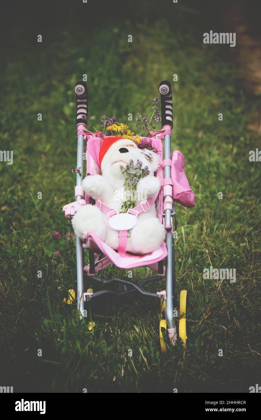 Baby carriage with a bear on the meadow Stock Photo