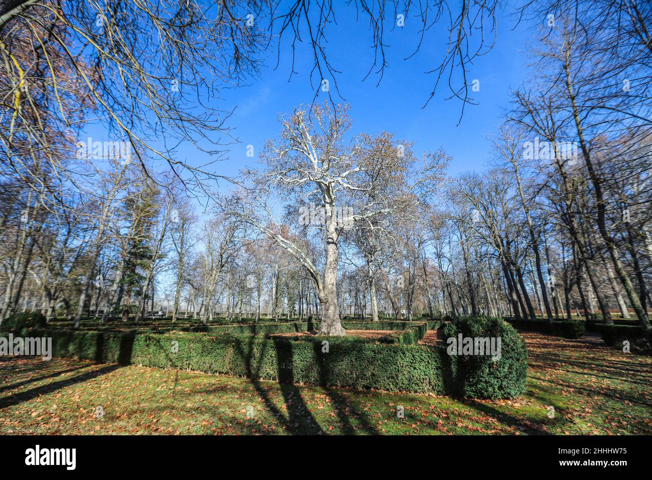 Jardín de la Isla, Aranjuez, Madrid, Spain Stock Photo Alamy