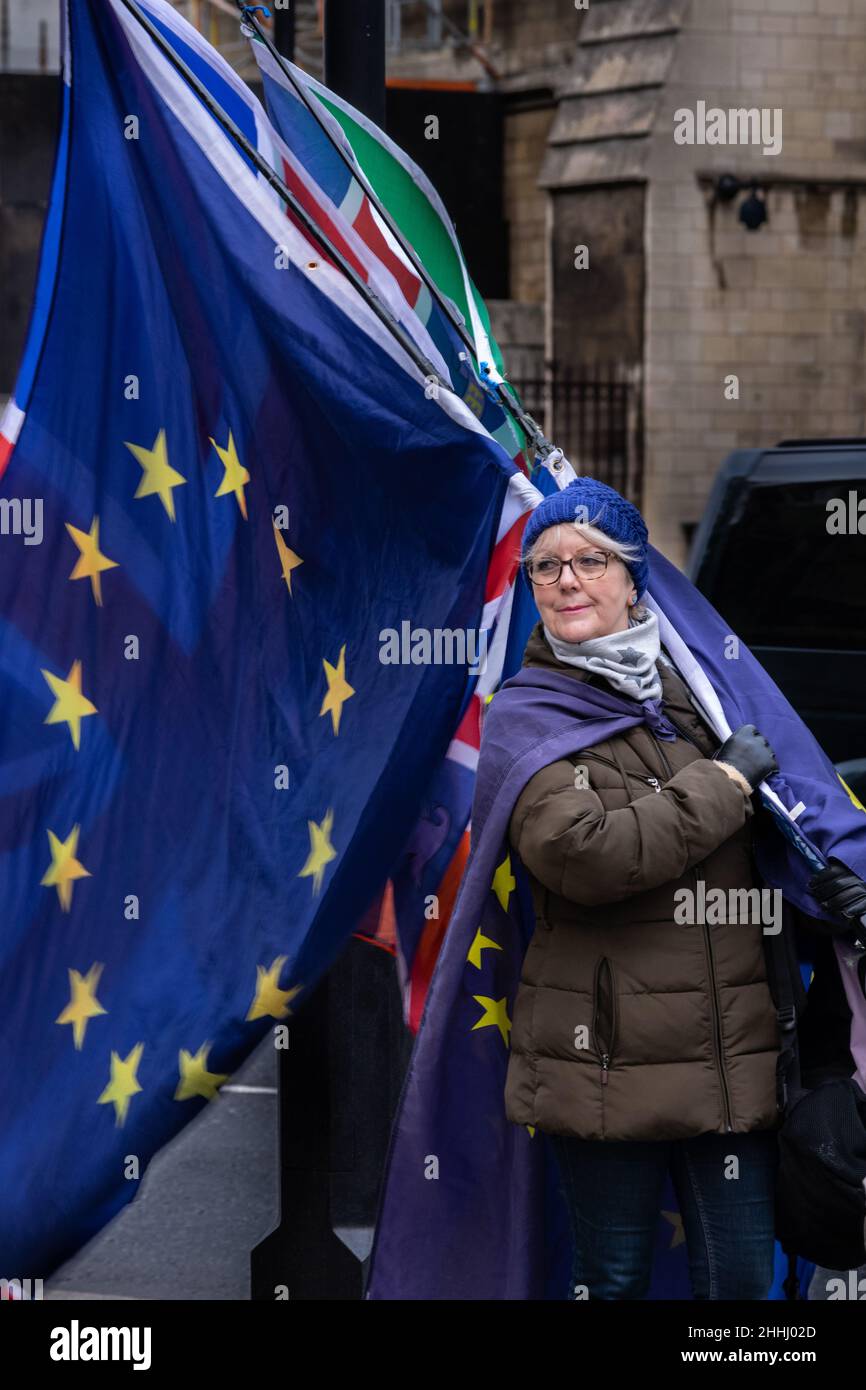 Proud anti Brexit protester marches with flags Stock Photo