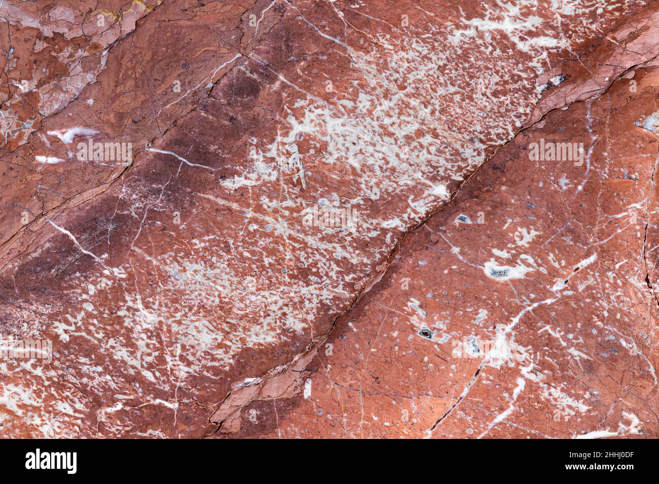 Natural red marble pattern with white veins. Close-up background photo texture. Front view Stock Photo
