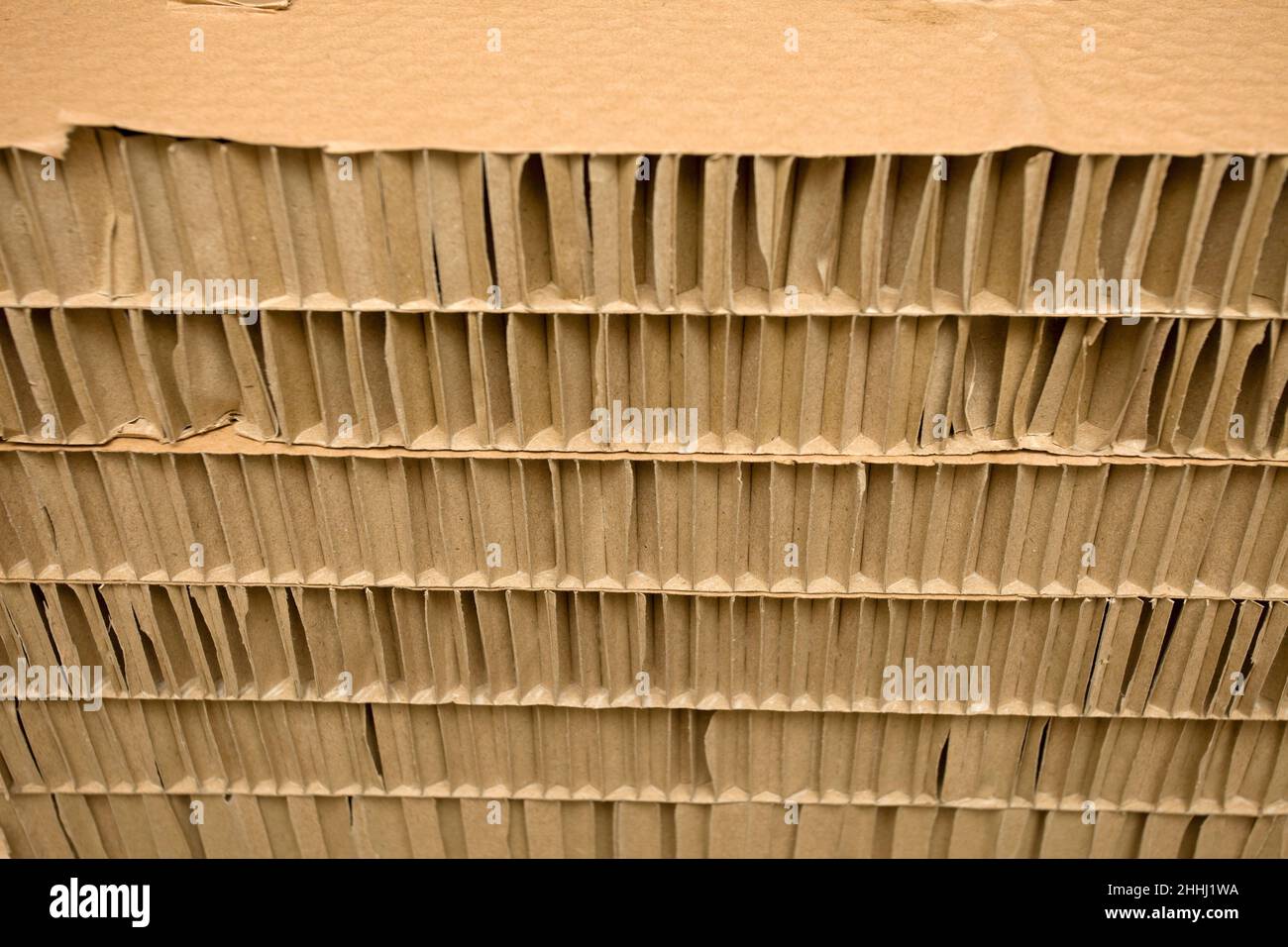 Cardboard layers Stock Photo