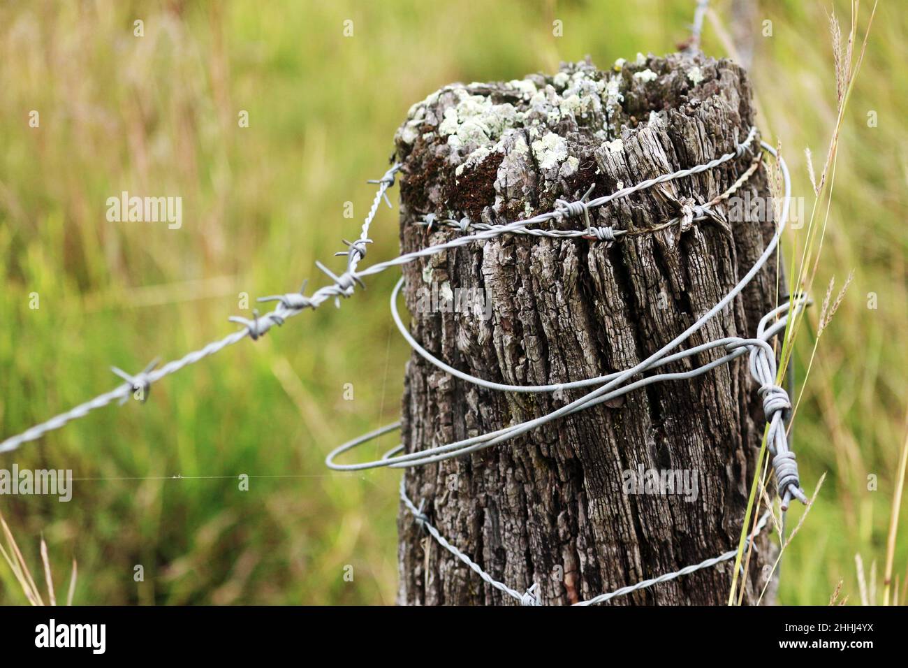In the simplicity of life in the interior, the boundaries of land are demarcated by logs and barbed wire and have been there for a long time. Stock Photo