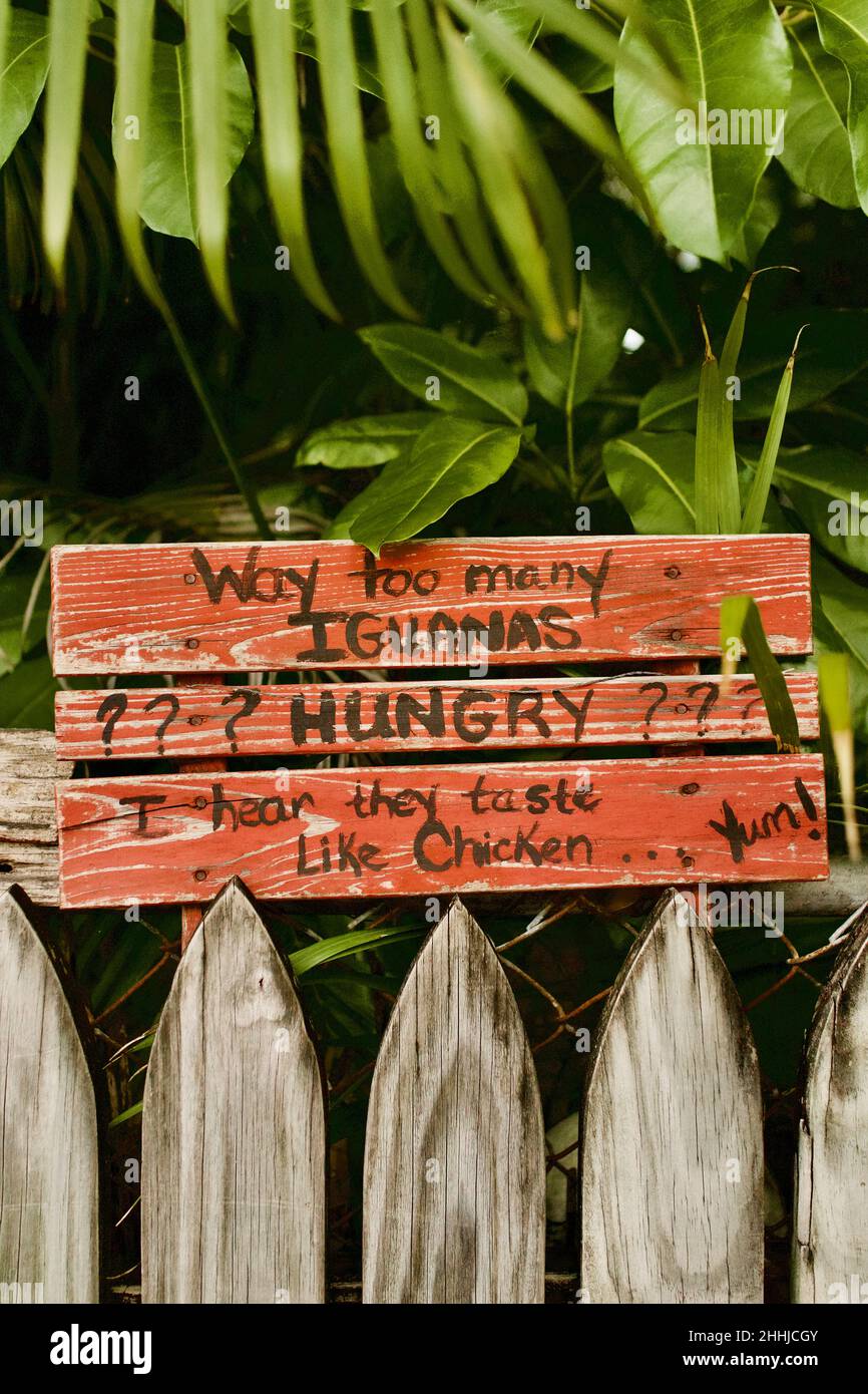 Humorous sign in Key West, Florida, FL USA. “Way too many Iguanas” Island vacation destination. Stock Photo