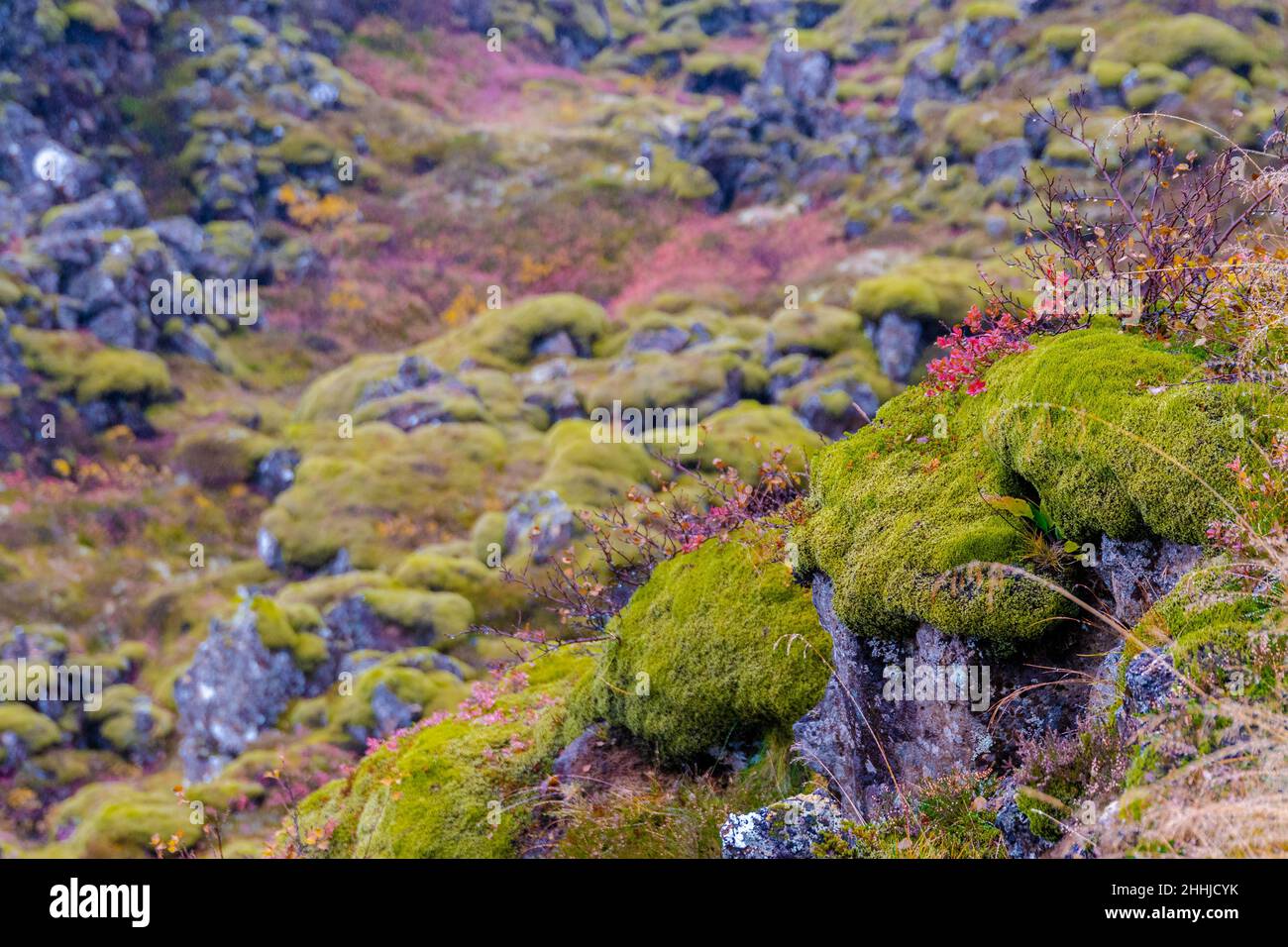 Im Land der Feen und Elfen Island das verborgene Volk - In the land of fairies and elves Iceland the hidden people Stock Photo