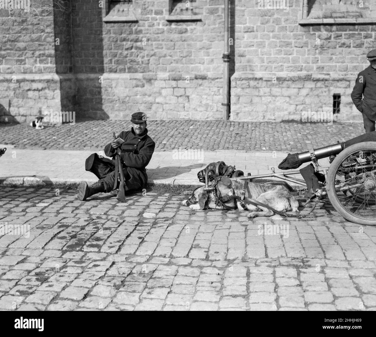 The Belgian army's retreat to Antwerp, Men and gun dogs, who are tired out, take a much need rest. 20th September 1914 Stock Photo