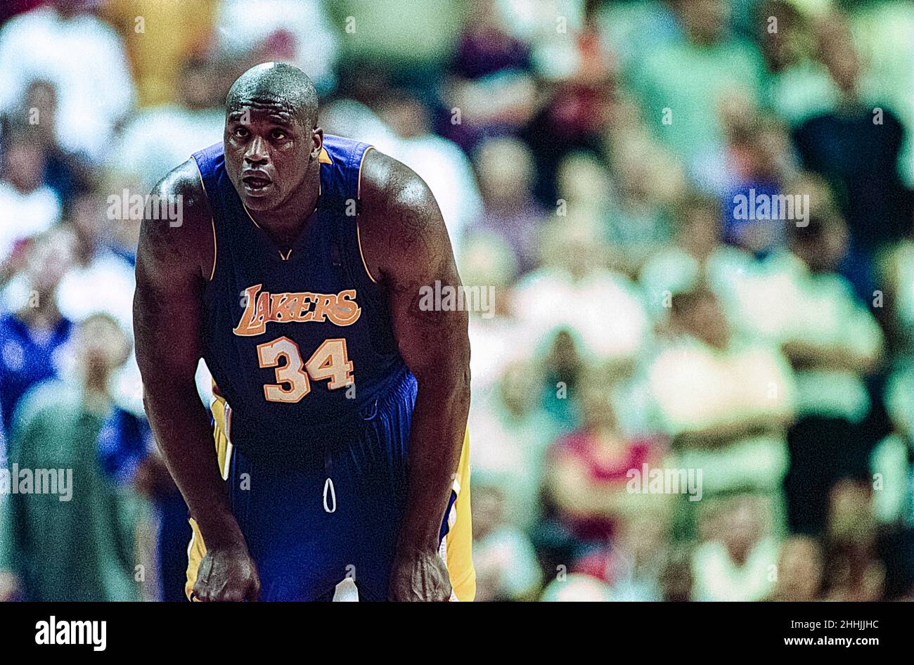 SHAQUILLE O'NEAL Minneapolis Lakers Throwback Uniform 8X10 ACTION  PHOTO