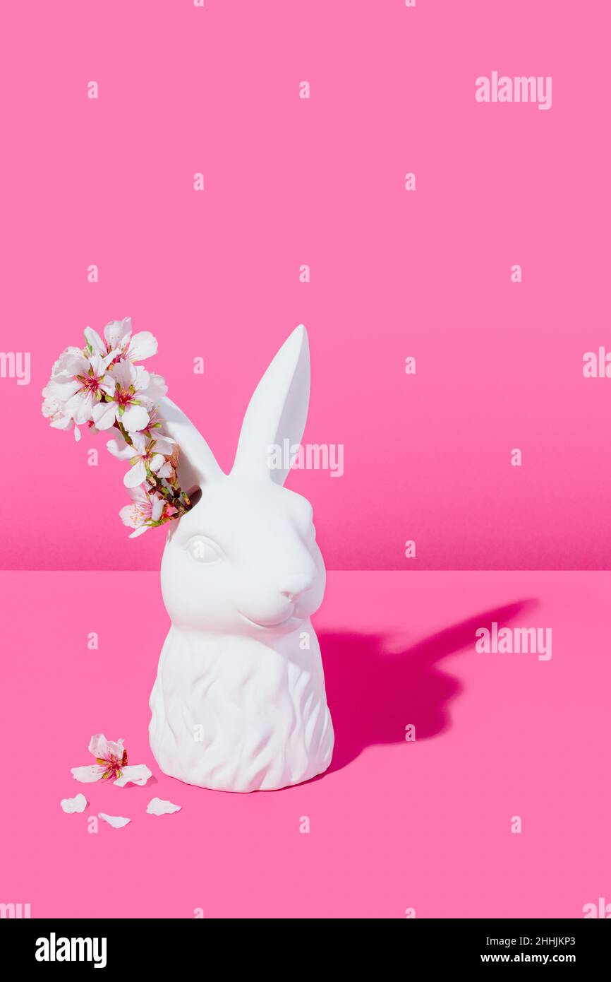 Bust of a white rabbit with almond blossoms on a pink background Stock ...