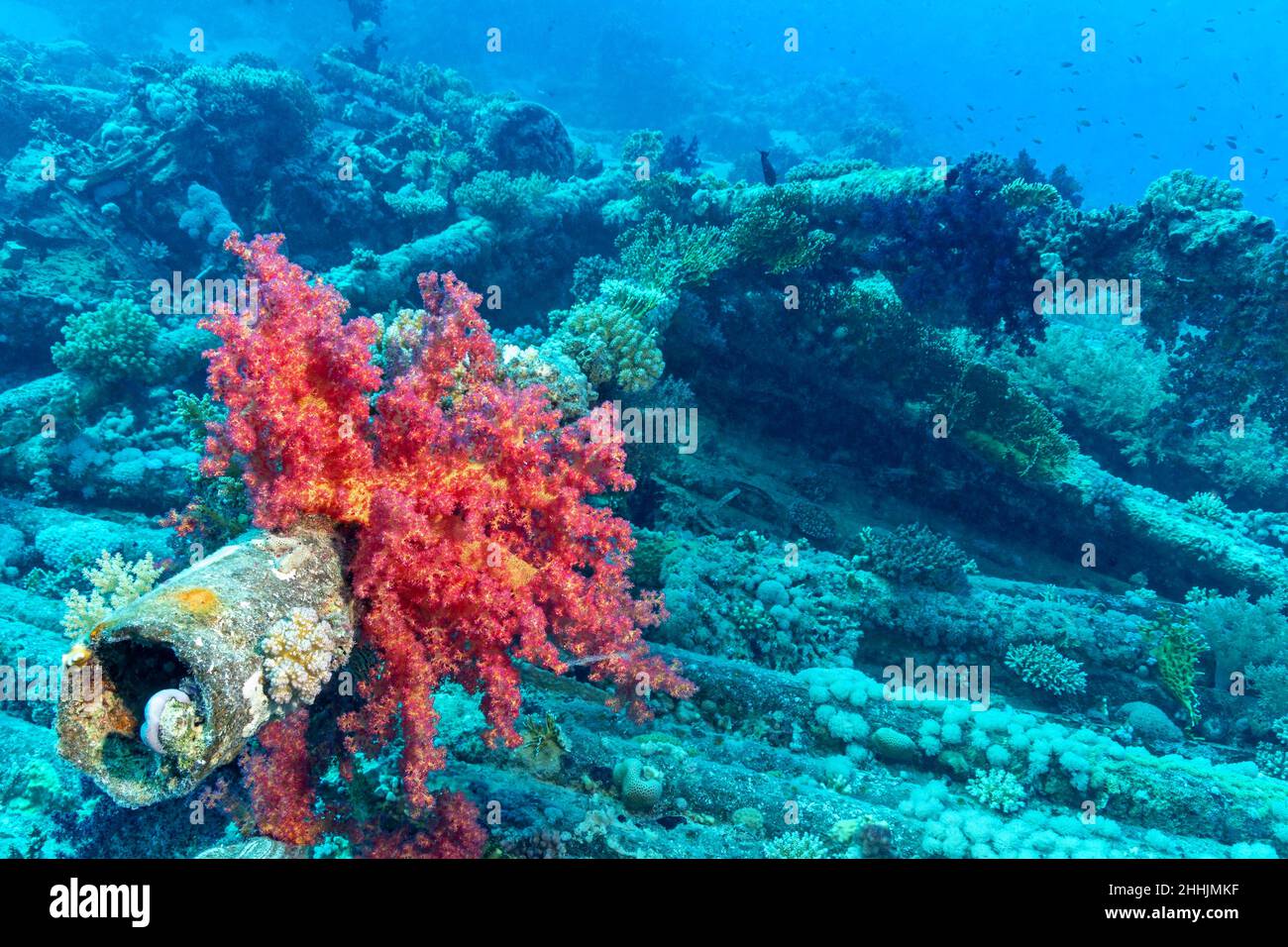 worn out red bottoms