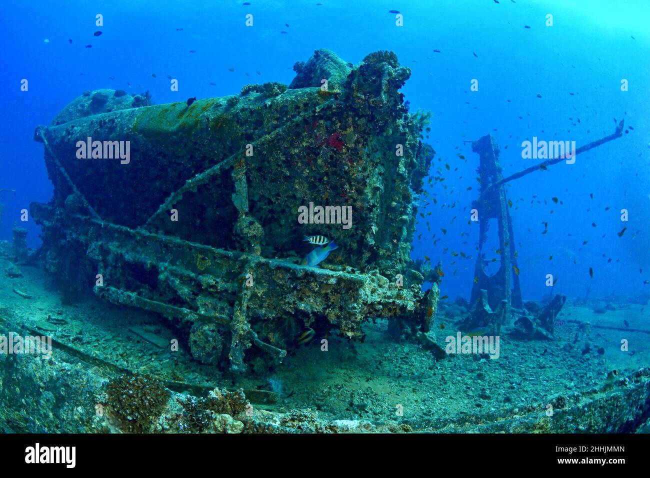 Old Damaged Sunken Ship And On Sandy Bottom Of Blue Red Sea With Reef 