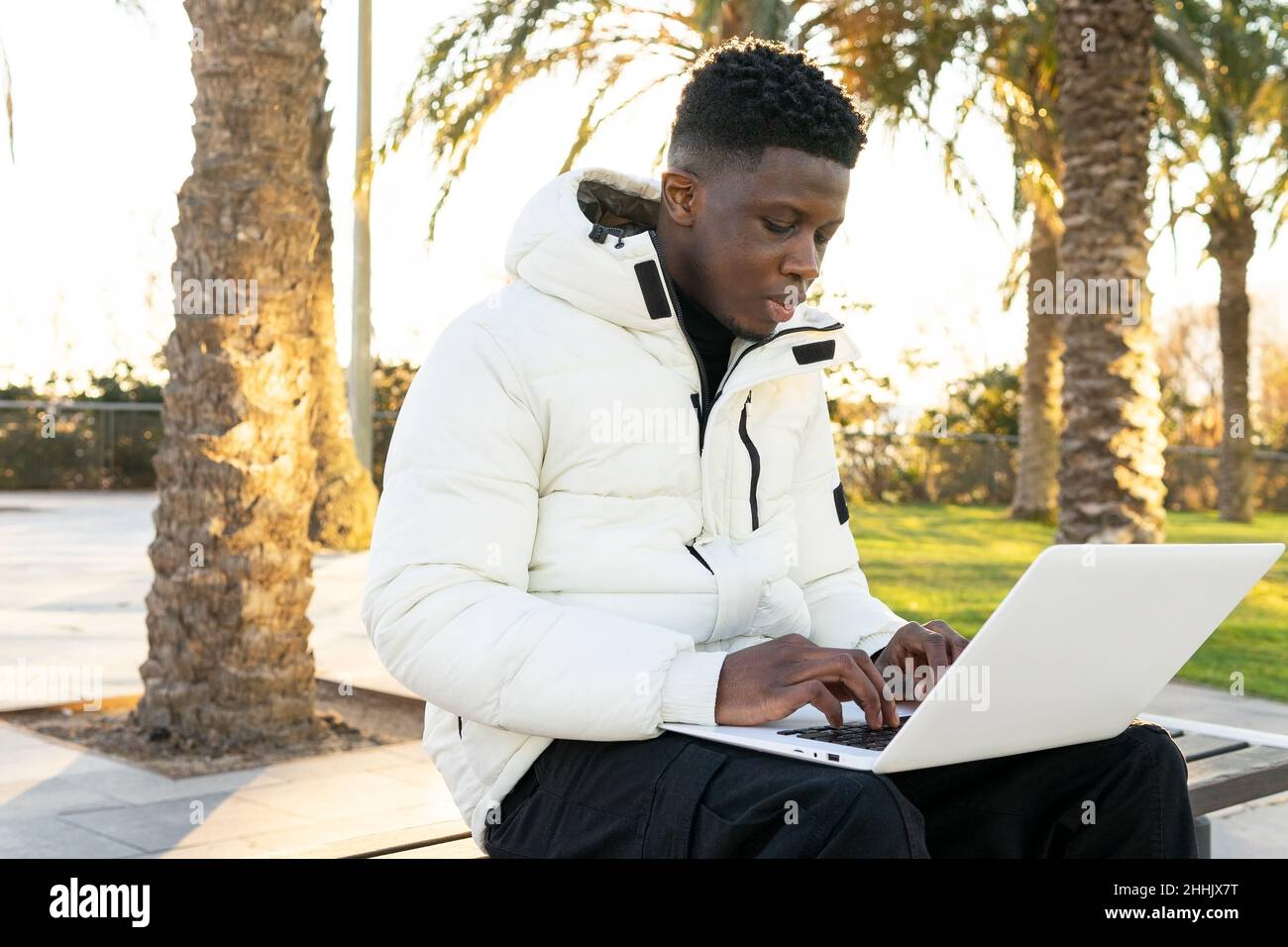 Focused African American freelancer sitting on bench in park and browsing laptop while working remotely on sunny day Stock Photo