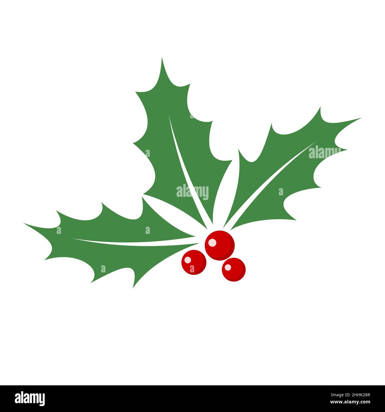 Holly berry leaves Stock Vector Images - Alamy