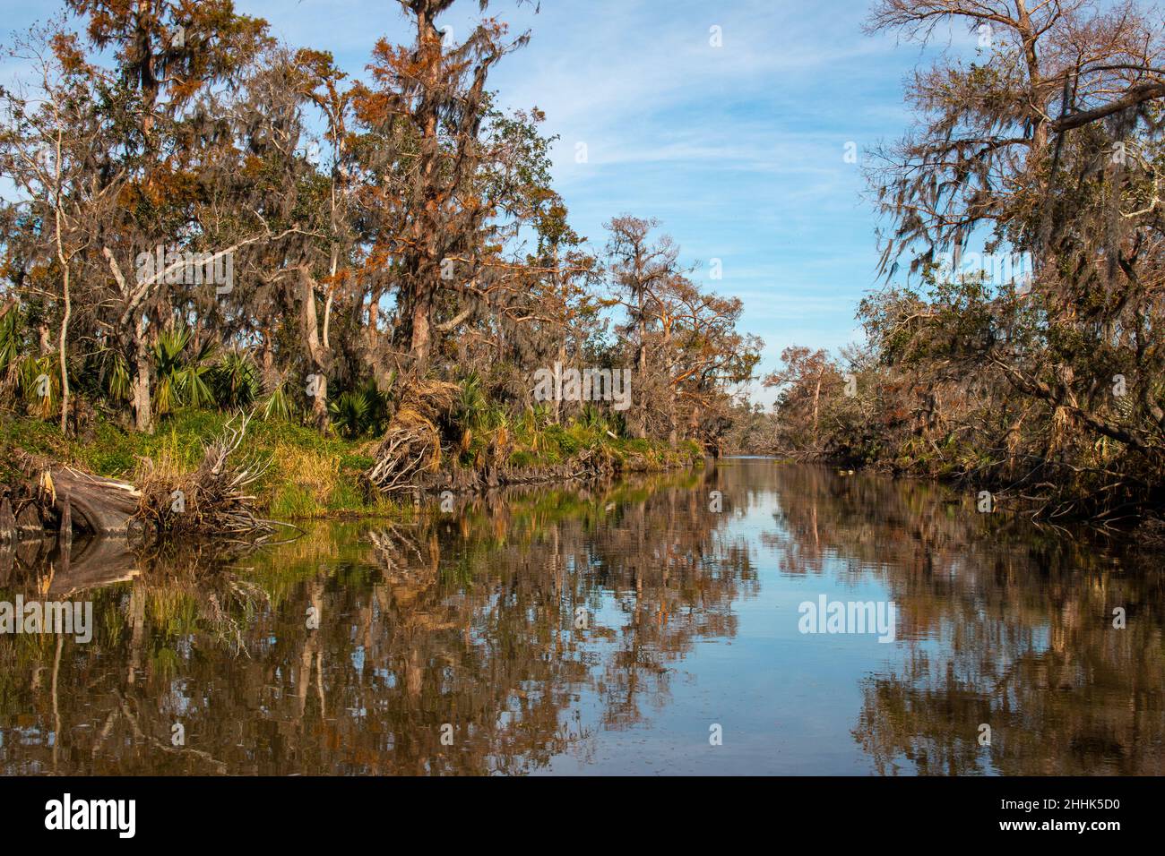 New orleans swamp tour hi-res stock photography and images - Alamy