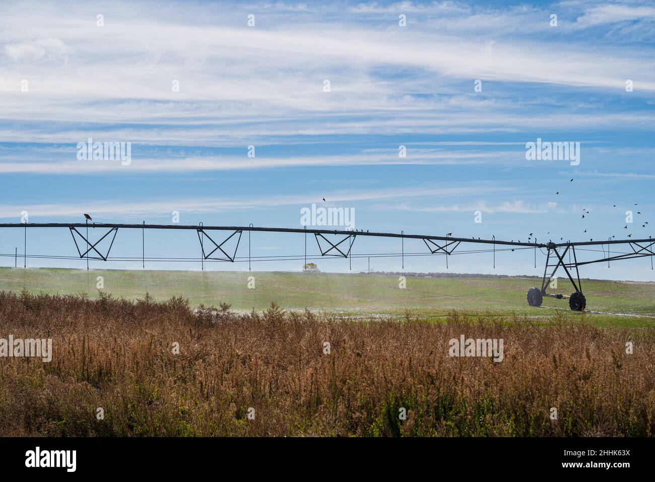 USA, New Mexico, Farmington, Irrigation system in field Stock Photo Alamy