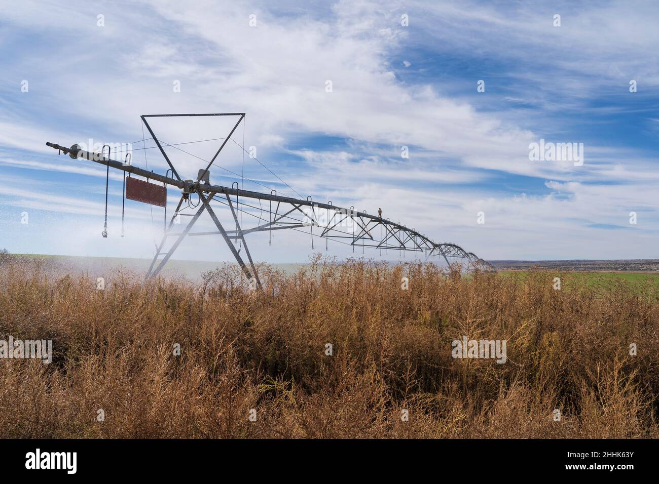 USA, New Mexico, Farmington, Irrigation system in field Stock Photo Alamy