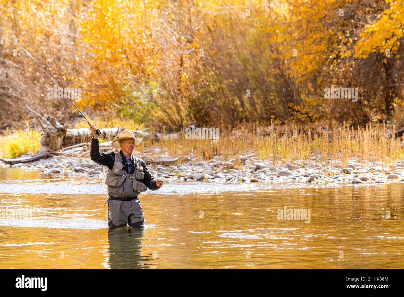 USA, Idaho, Bellevue, Senior man fly fishing in Big Wood River in Autumn Stock Photo