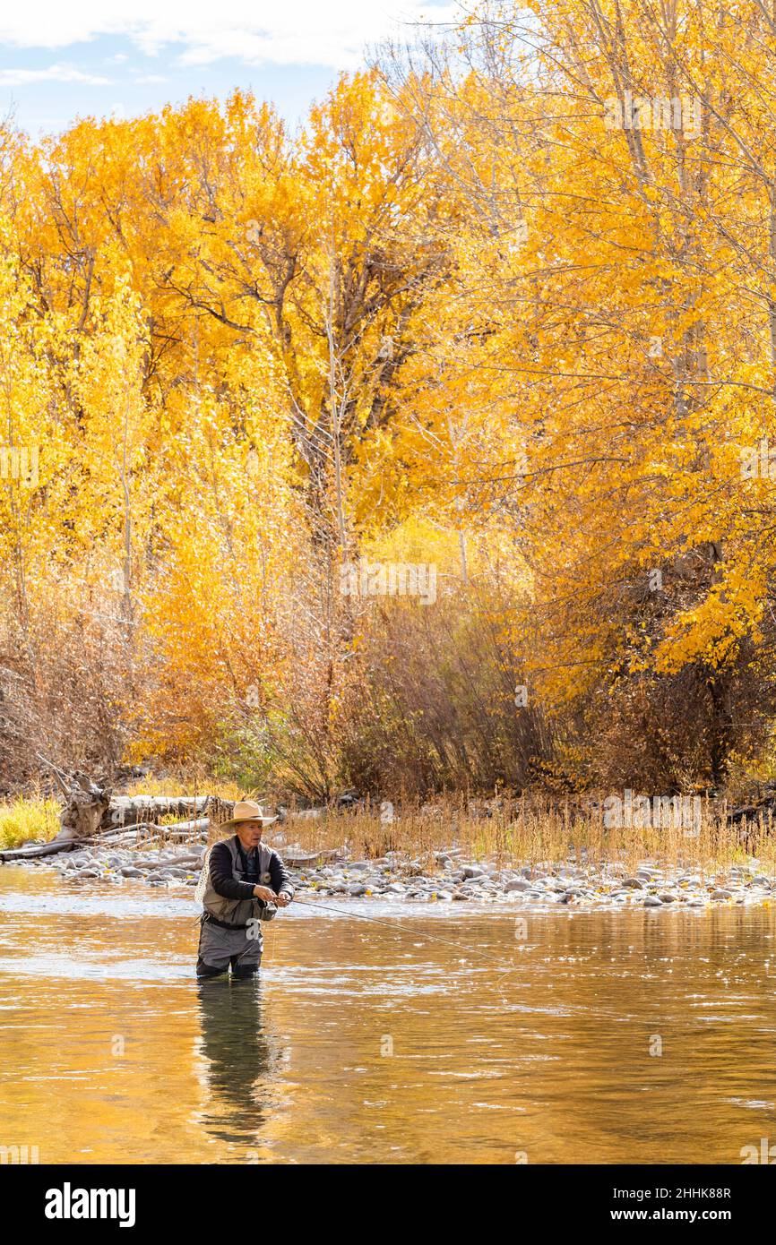 USA, Idaho, Bellevue, Senior man fly fishing in Big Wood River in Autumn Stock Photo