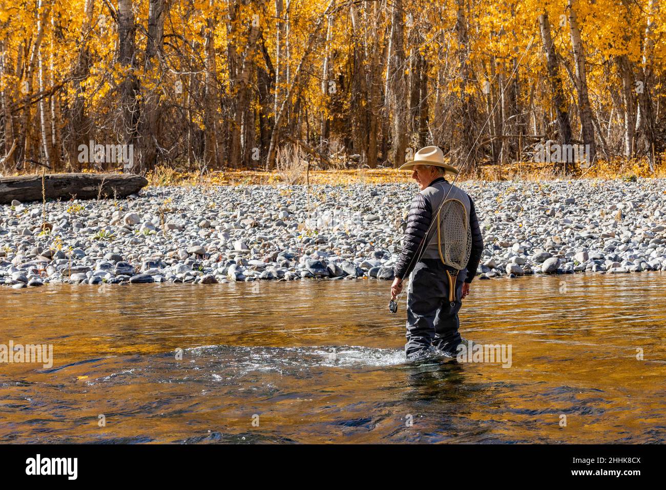 USA, Idaho, Bellevue, Rear view of senior fisherman wading in Big Wood River in Autumn Stock Photo