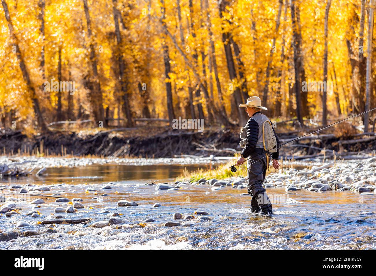 USA, Idaho, Bellevue, Senior fisherman wading in Big Wood River in Autumn Stock Photo
