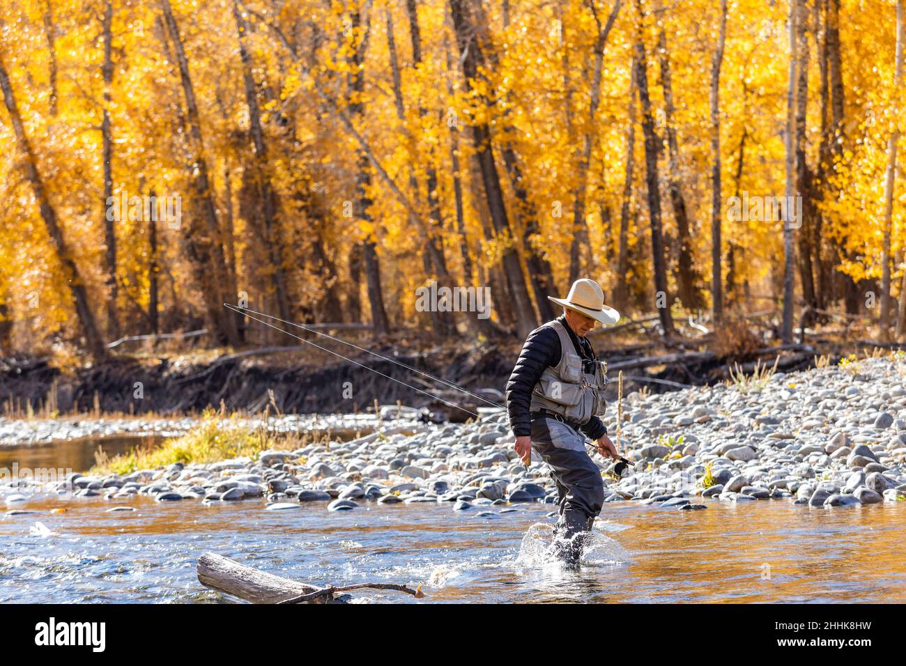 USA, Idaho, Bellevue, Senior fisherman wading in Big Wood River in Autumn Stock Photo