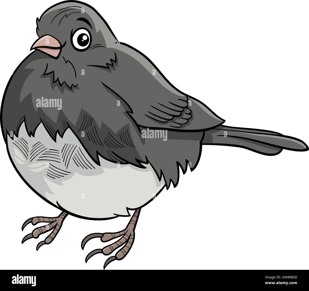 Cartoon illustration of funny junco bird animal character Stock Vector