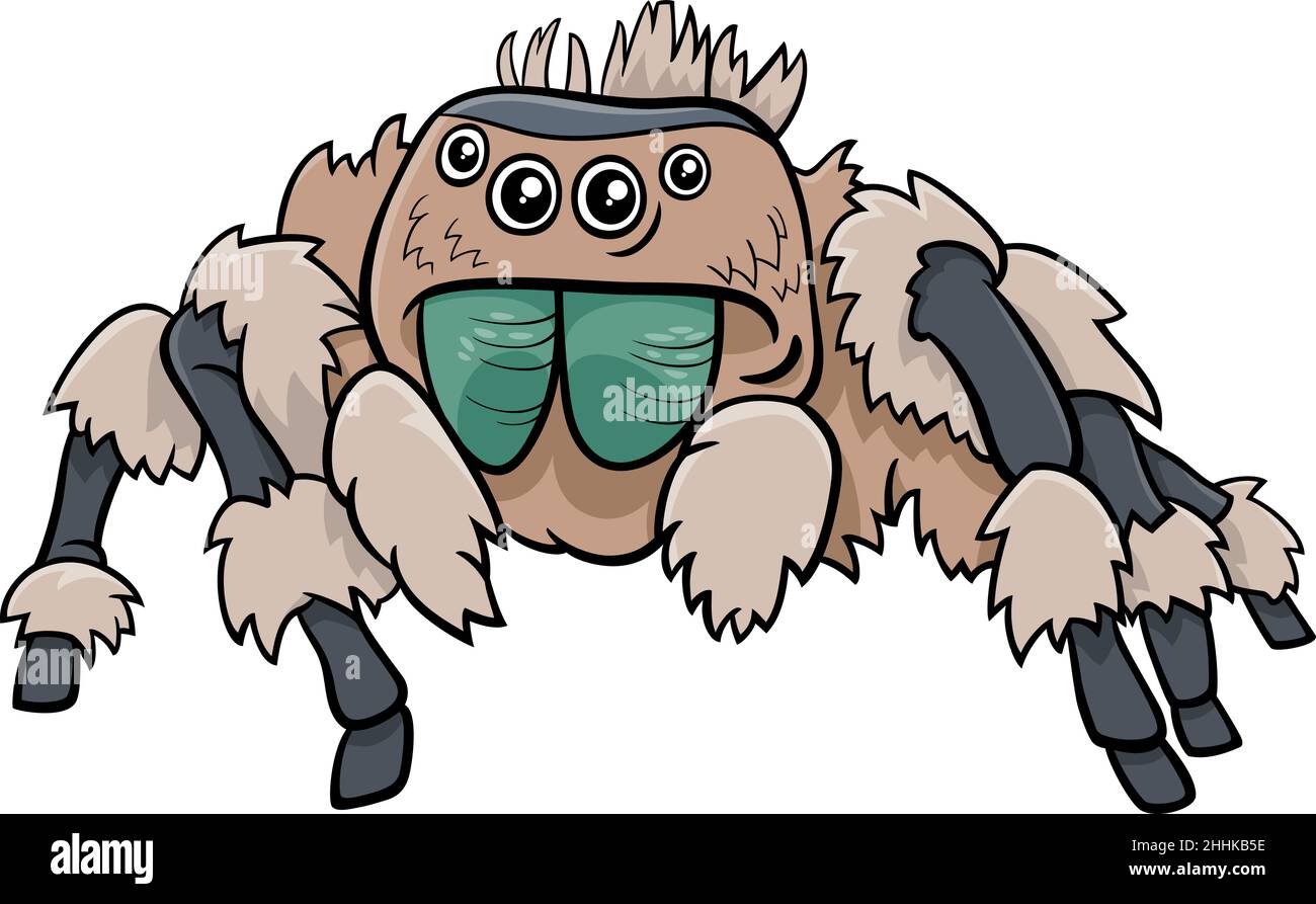 Cartoon illustration of jumping spider insect animal character Stock Vector