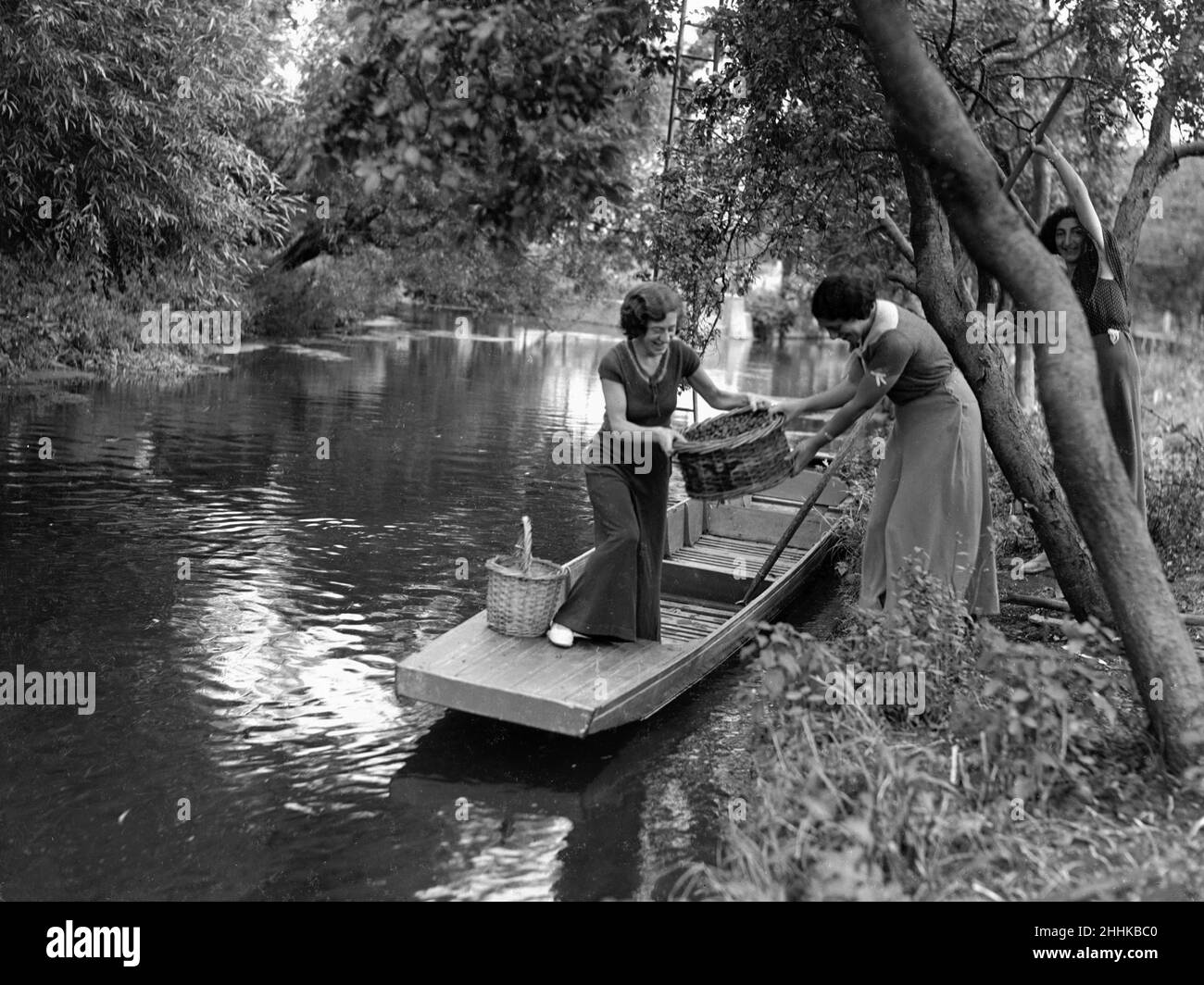 Mrs Page Smith and companions seen here at Island House, Longford, Middlesex, fruit picking from the river. September 1933 1130 Stock Photo
