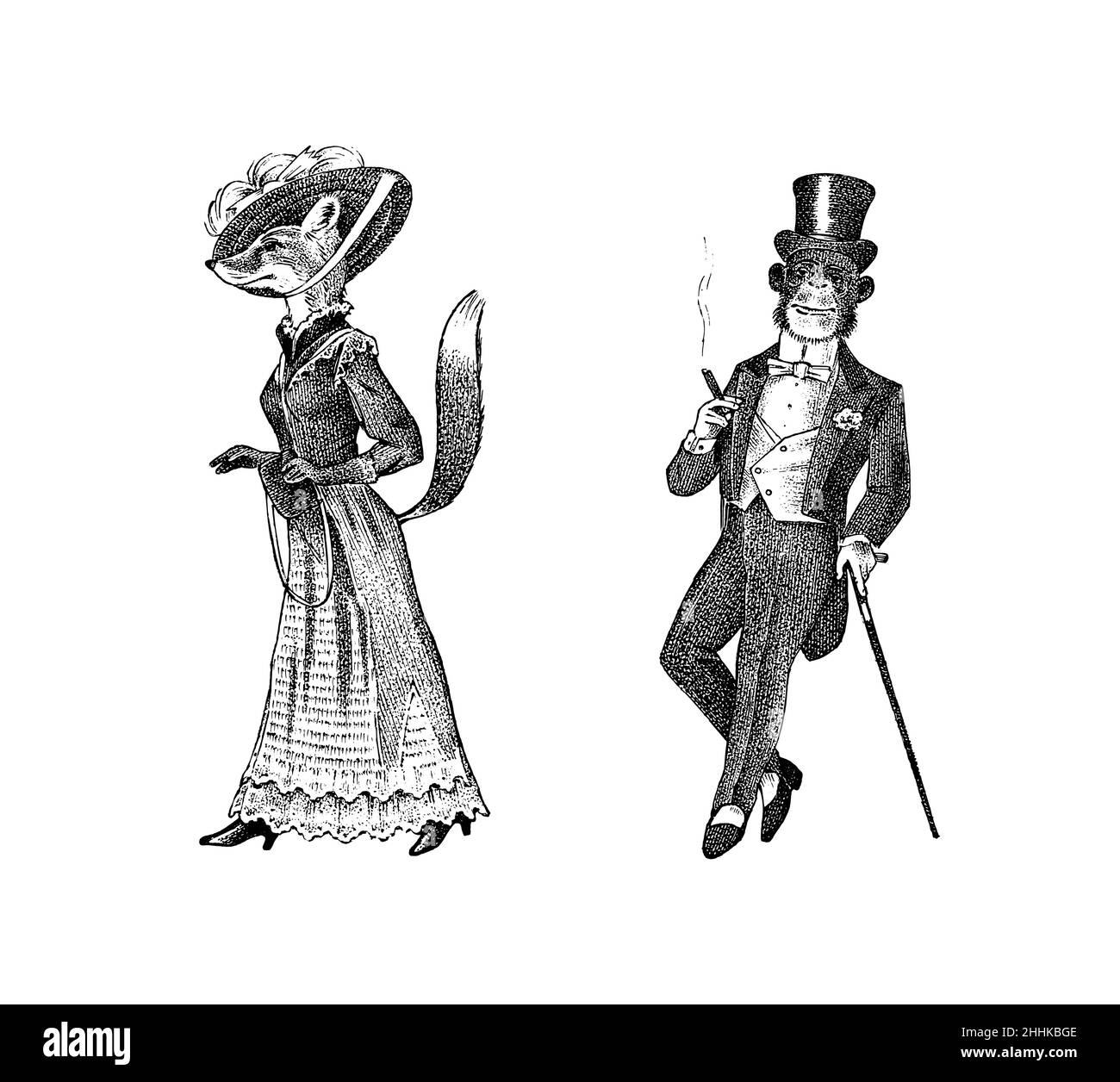 Fashionable fox and monkey in clothes. Gentleman smoking a cigar. Antique lady. Victorian dame and man. Ancient Retro Woman in dress. Vintage Stock Vector