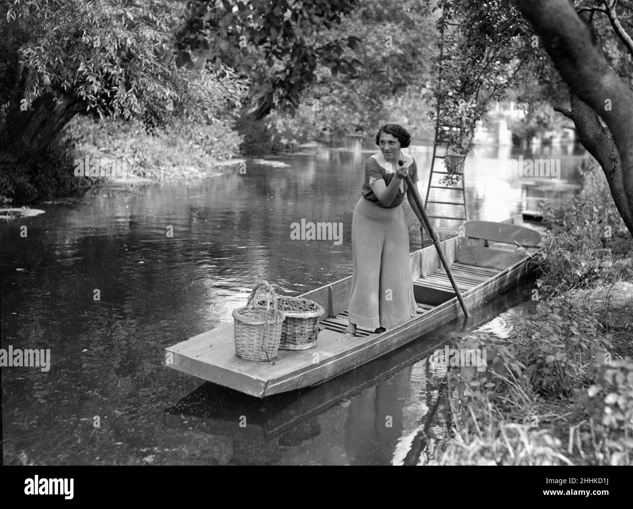 Mrs Page Smith and companions seen here at Island House, Longford, Middlesex, fruit picking from the river. September 1933 1130 Stock Photo