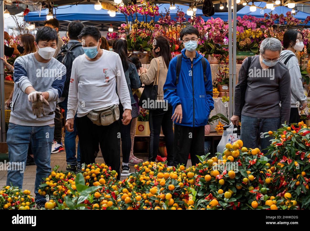 Hong Kong, China. 23rd Jan, 2022. People buy kumquat trees, also known as tangerine trees, at a flower market ahead of the upcoming Lunar Chinese New Year 2022 of the Tiger in Hong Kong on January 23, 2022. Hong Kong government reintroduced stricter Covid social restrictions forcing schools, businesses, and public places to close until after the Chinese New Year (CNY) holiday and festivities to control the spread of the Omicron variant as the government's strategy aims for zero infections in the city. Credit: SOPA Images Limited/Alamy Live News Stock Photo