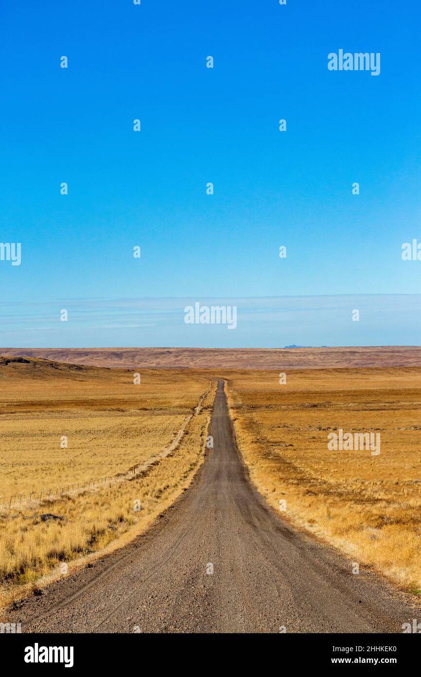USA, Nevada, Winnemucca, Empty desert road and blue sky Stock Photo Alamy