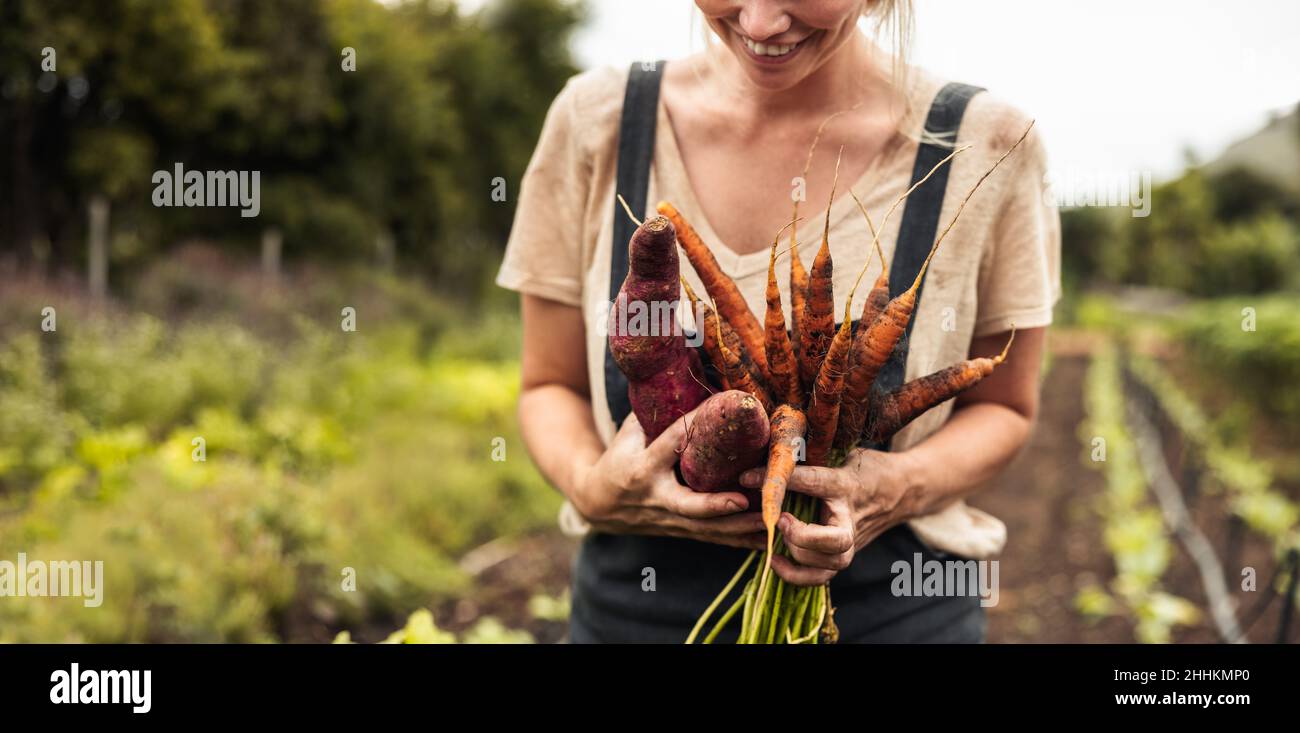 Cheerful female farmer holding freshly picked carrots and sweet potatoes on her farm. Self-sufficient young woman smiling happily after harvesting fre Stock Photo