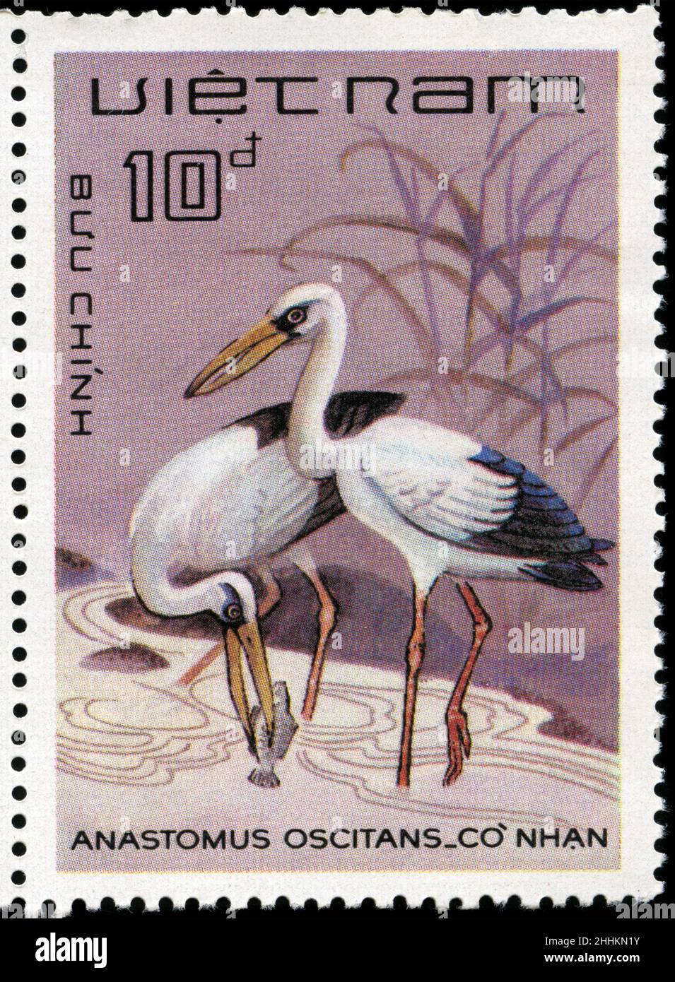 Postage stamp from Vietnam in the Birds series issued in 1983 Stock ...