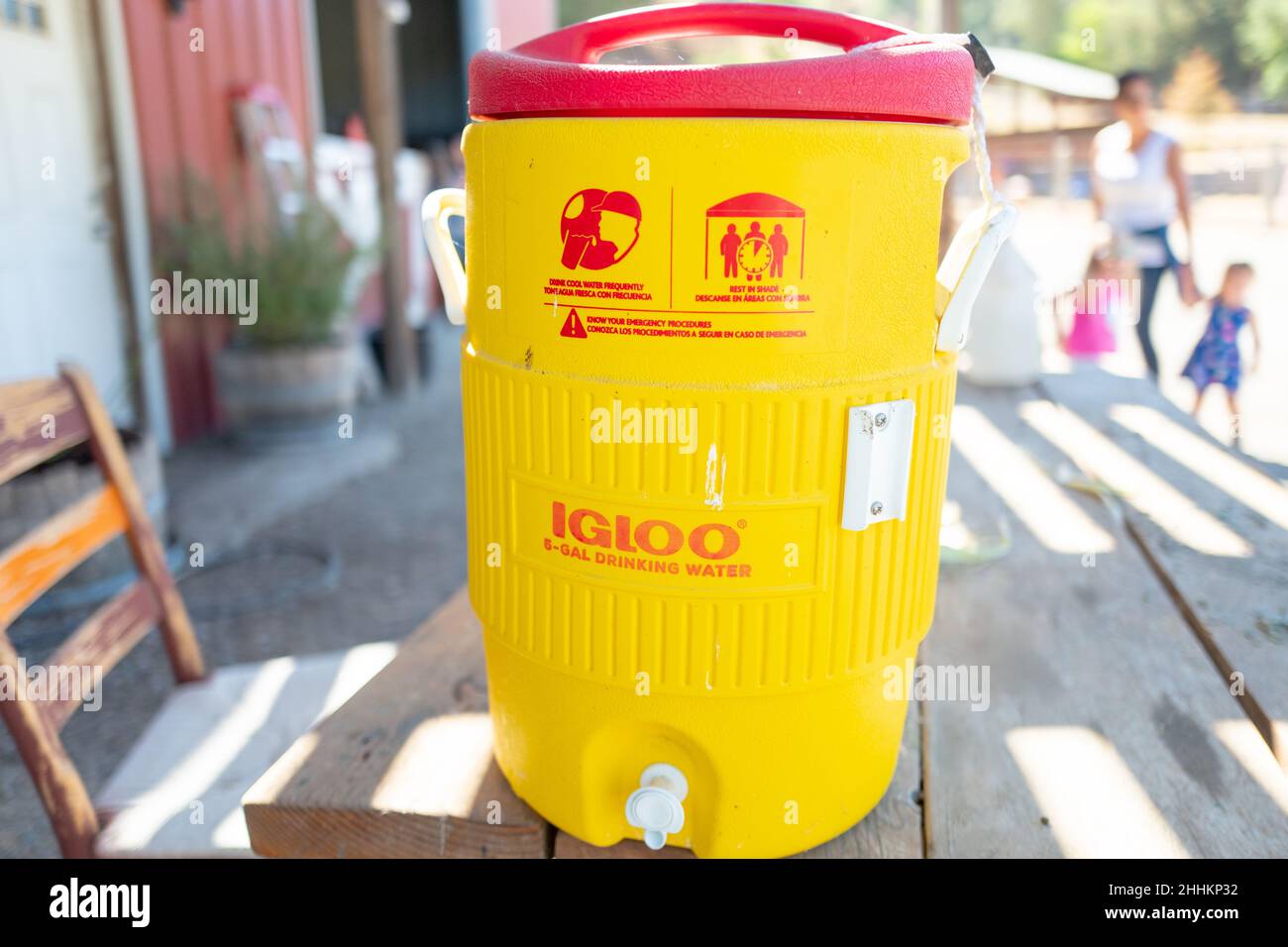 Igloo cooler hi res stock photography and images Alamy