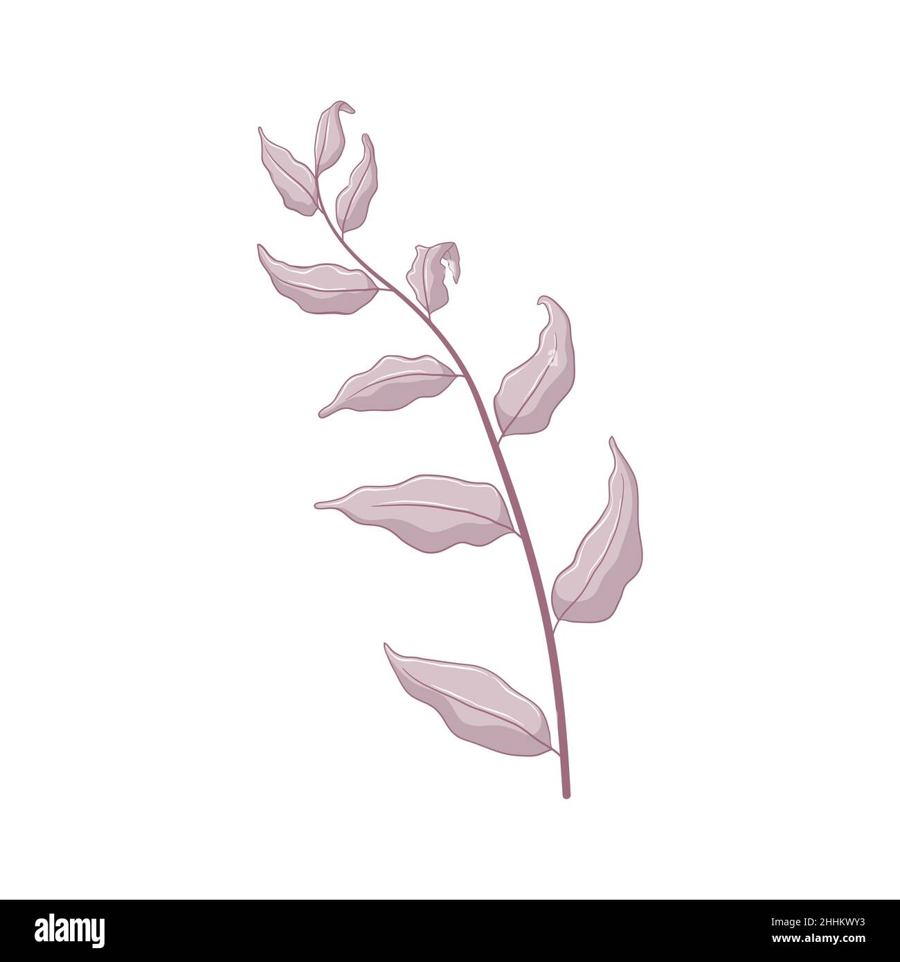 Single grey branch with leaves. Leaves isolated on white background. Hand drawn botanic illustration. Botanical vector art in cartoon style. Stock Vector