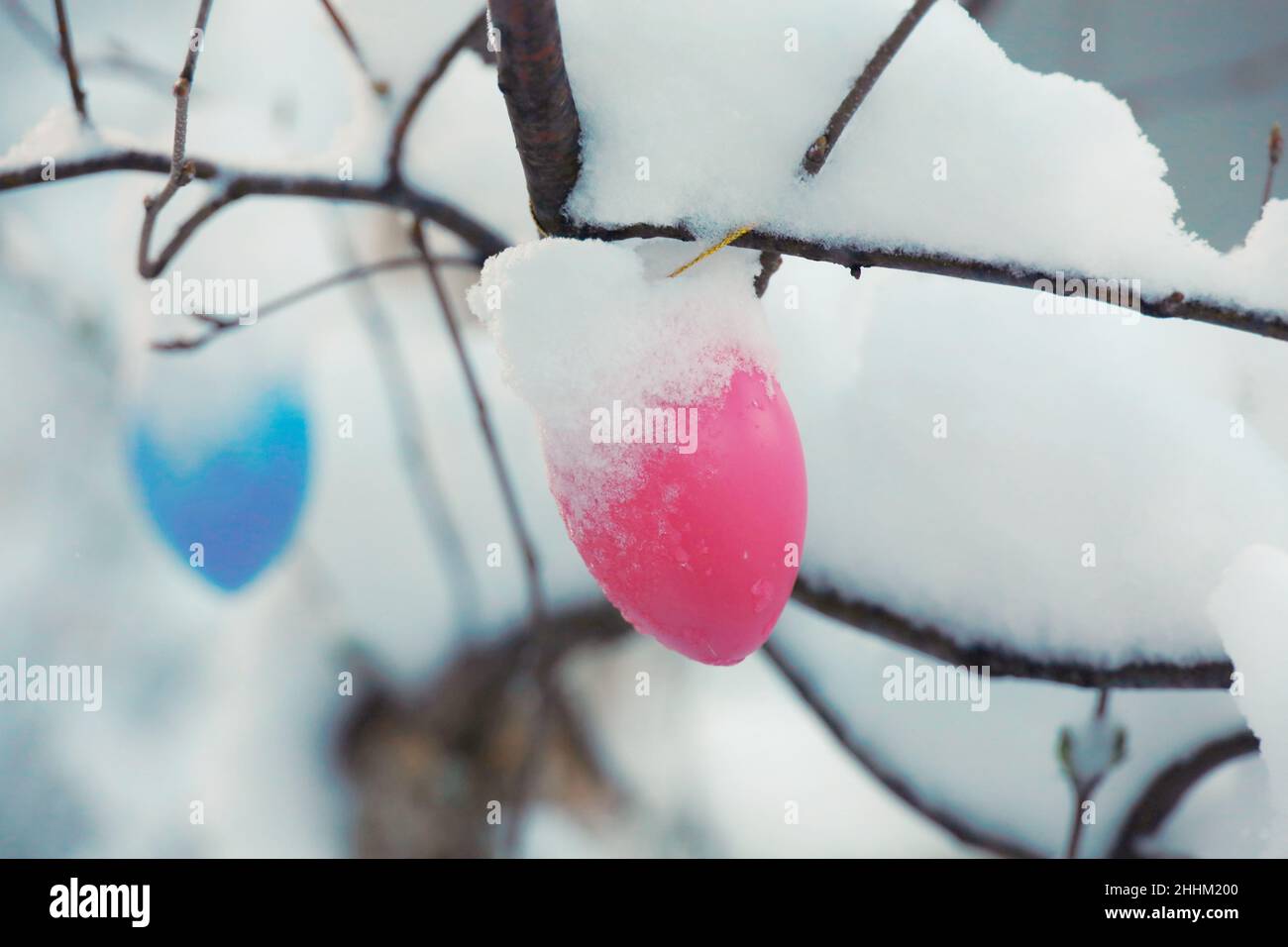 beautiful easter eggs on a tree branch outdoors Stock Photo