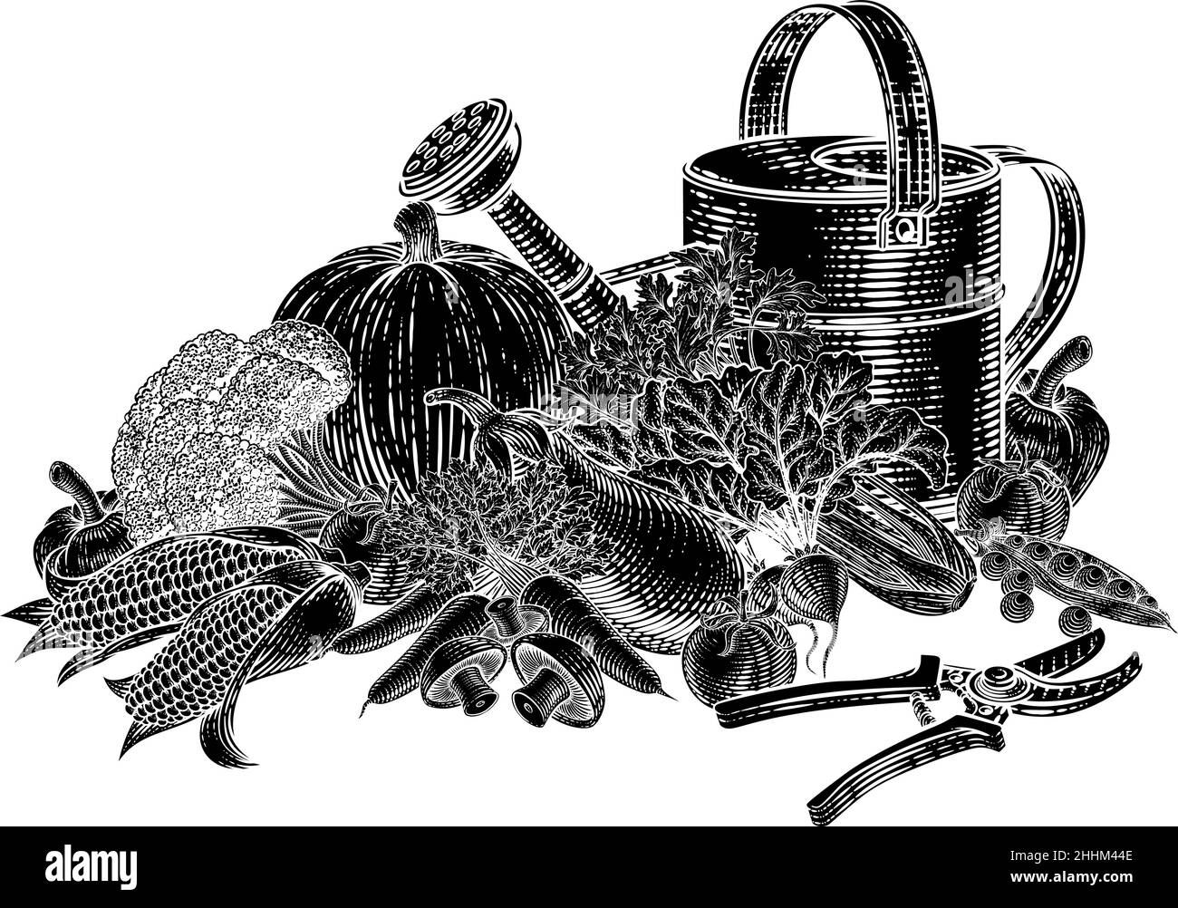 Gardening Tools Vegetables Produce Vintage Woodcut Stock Vector