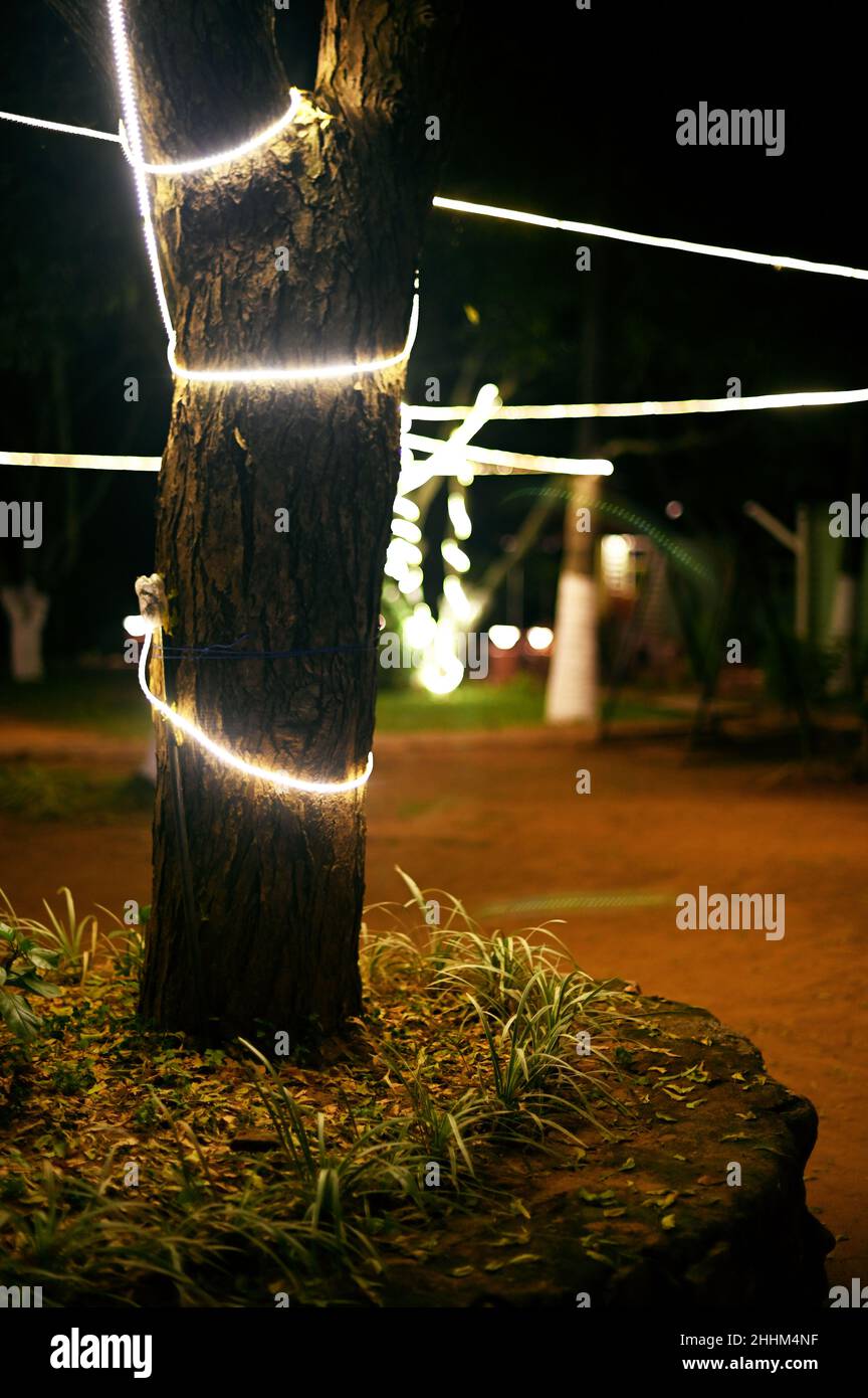 Outdoor tree lighting ideas hi-res stock photography and images - Alamy
