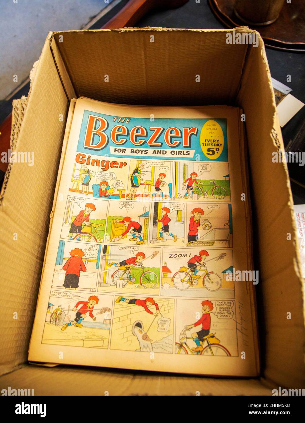 The Beezer weekly cartoon comic for Boys and Girls, published every week by D. C. Thomson, UK 1967 edition on display Stock Photo