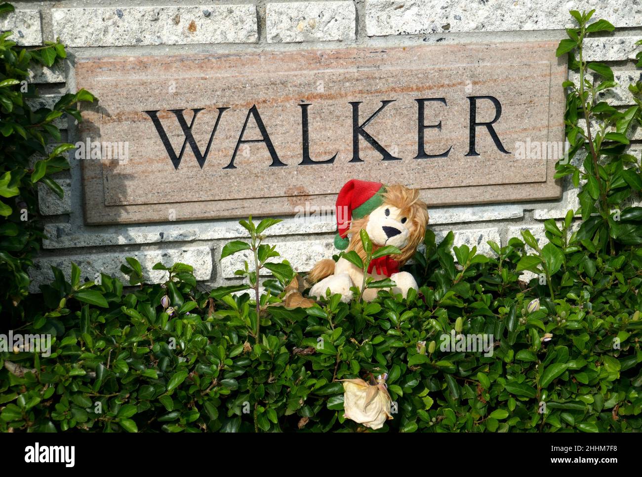 Paul Walker's daughter Meadow honoured her late father in a loving ...